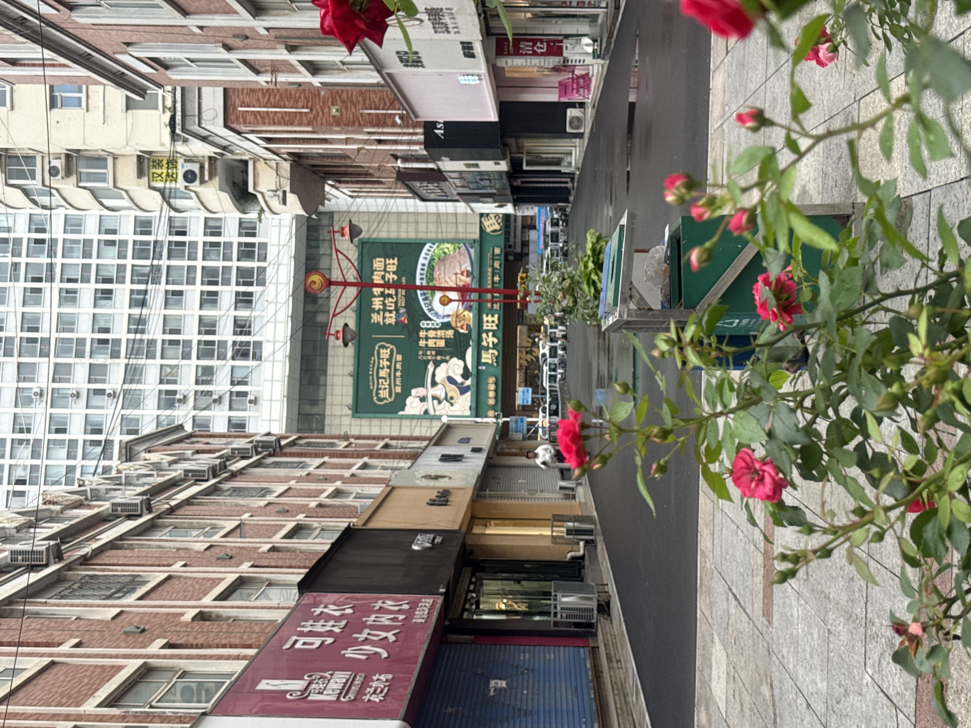 A street-level perspective shot captures a narrow urban street lined with multi-story brick and white buildings. The street is wet, indicating recent rain, and reflects the overcast sky. Red flowers in the foreground bloom from bushes, partially obscuring the view of the street. On the left, a burgundy storefront with blue shutters is visible, featuring Chinese characters and the word "Kewai". Adjacent to it are other shops with various colored facades and closed shutters. Across the street, a large green billboard displays an image of meat and noodles, with Chinese text. A red lamppost with ornate lights stands prominently in the middle of the street. Further down, a man in a white shirt is walking. Several parked three-wheeled vehicles are visible in the distance, suggesting this is likely a commercial area. The background is dominated by a very tall, modern white building with a grid-like facade, possibly a hotel or office building. The overall atmosphere is quiet and somewhat subdued, possibly due to the weather or time of day. The scene is located on Changli Street in the Haigang District of Qinhuangdao, China.