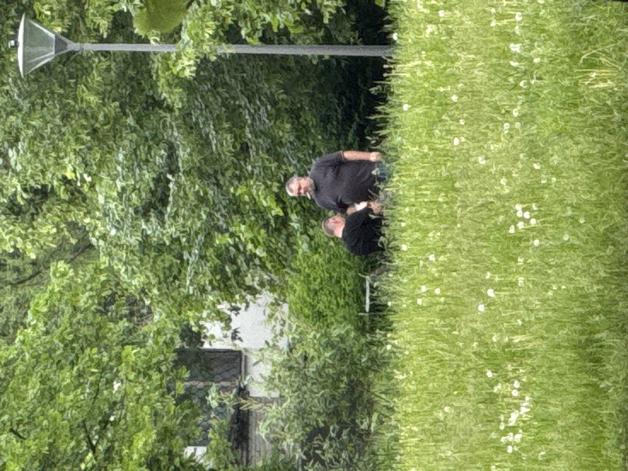 The image captures a scene in Moscow, Russia, featuring two individuals standing in a grassy area alongside a row of trees and shrubbery. One person is taller and wearing a dark-colored shirt. The second individual is shorter and also wearing a dark-colored shirt. They appear to be standing close to each other. Adjacent to the grassy area is a street lamp. In the background, a building is partially visible through the trees. The overall environment suggests an urban green space or park setting.