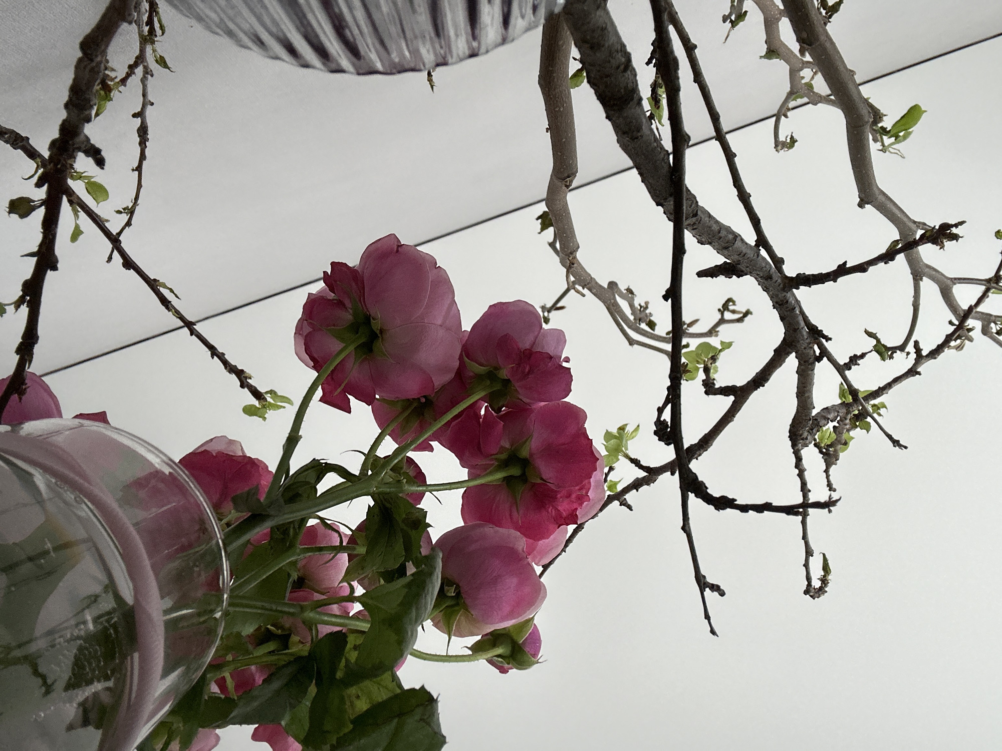 The image depicts an upside-down view of pink flowers, possibly roses, arranged in a glass vase. The vase is situated in the lower left corner of the frame. Above the flowers, bare branches with sparse green leaves extend across the top half of the image. A silver, patterned object is partially visible in the upper left corner, likely part of the vase. The background is a plain white surface. The location is unknown and there is no indication of the city of Kazan, Russia, being related to the image.