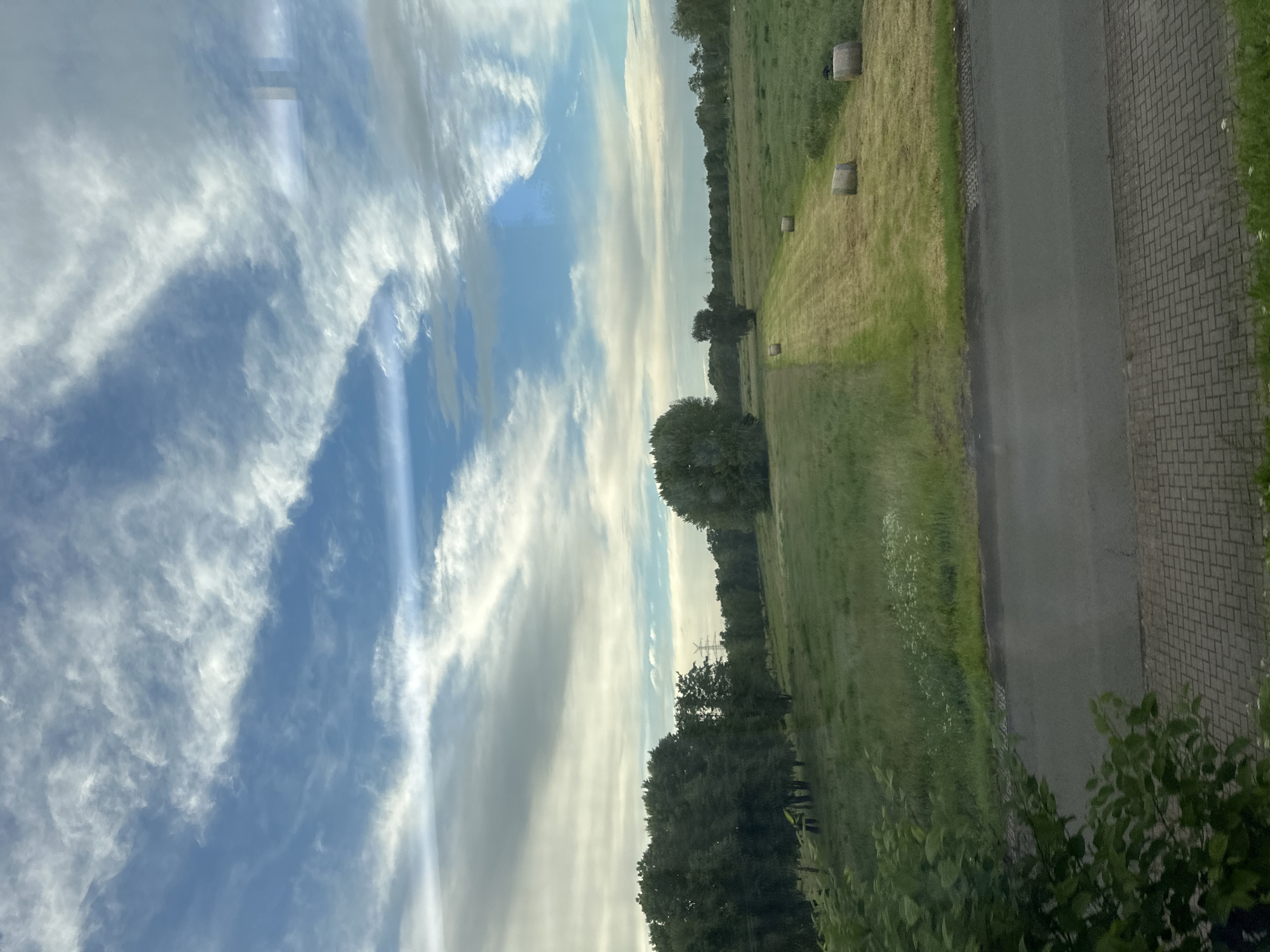 This image displays a serene, partly cloudy landscape, likely captured in a rural or semi-rural area near Buxtehude, Germany. The upper portion of the frame is dominated by a bright blue sky filled with extensive, wispy white cirrus clouds and some broader, streaky cloud formations.
The scene features expansive fields of green grass, with some areas appearing lighter green or golden-brown, suggesting recently mown or harvested land. Several cylindrical hay bales are scattered across these fields, indicating agricultural activity. A line of trees forms a distinct treeline in the mid-distance, and a few individual trees are visible within the fields. In the far background, faintly discernible against the sky, is what appears to be a power line pylon.
Along the right side of the image, a paved asphalt road runs vertically, bordered by a patterned brick pathway or sidewalk. Lush green grass and some leafy bushes are visible in the immediate foreground, obscuring the base of the road and pathway.
The bright and clear lighting suggests it is late morning or early afternoon on a day with fair weather, characterized by sunshine filtering through the clouds. No people or specific activities are visible, contributing to the tranquil atmosphere of the scene. There is no visible text in the image.