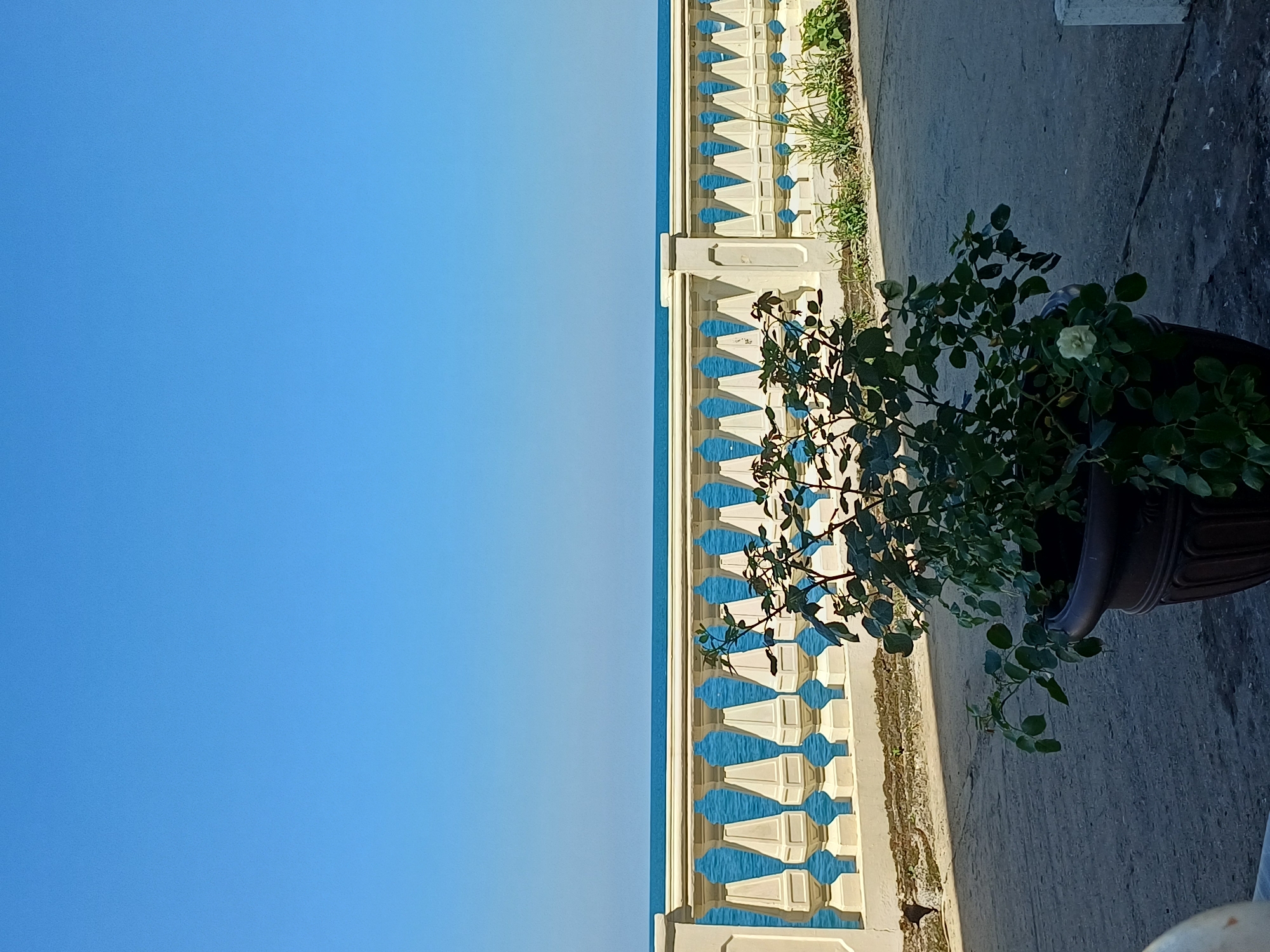 The media file depicts a view from a balcony or promenade overlooking the sea on a clear, sunny day. The sky is a vibrant, cloudless blue, suggesting fair weather. To the right of the frame, a decorative white balustrade with blue accents runs along the edge of the promenade, separating it from the sea. Beyond the balustrade, the calm, blue sea is visible. In the foreground on the right, a potted rose bush with small white flowers and green leaves is placed on the concrete ground. The scene appears to be a tranquil outdoor setting, likely a resort or a scenic coastal area. The lighting suggests it is daytime, possibly late morning or afternoon, given the bright sunlight. There is no visible text in the image. The overall impression is one of a peaceful and pleasant day by the sea.