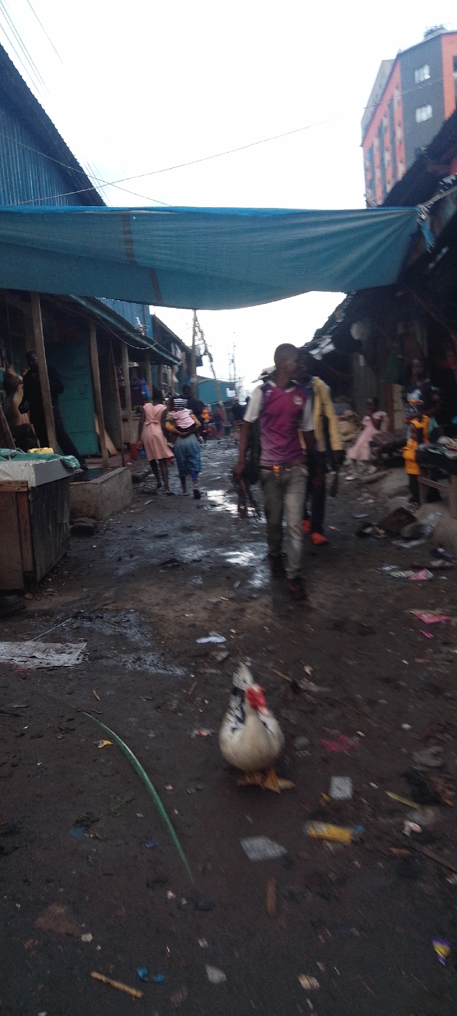 This image depicts a street scene in Nairobi, Kenya, likely within a market area. The ground is muddy and littered with trash. A white and black Muscovy duck stands in the foreground. Further down the street, multiple people walk and interact. Shops or stalls line both sides of the street, covered with blue tarps or corrugated metal. A taller building is visible in the background.