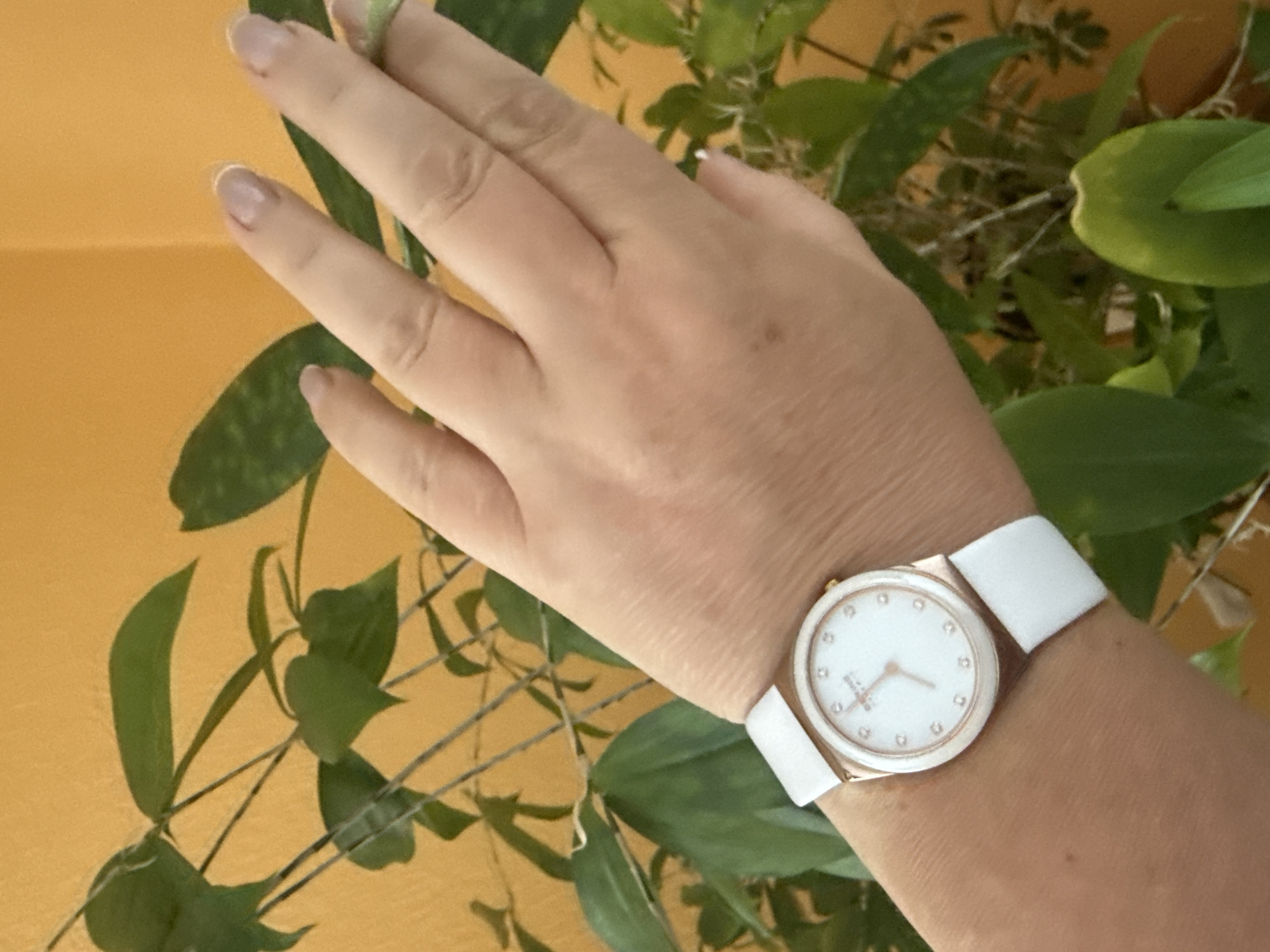A close-up shot captures a person's left wrist adorned with a white-strapped watch featuring a white face and rose-gold accents. The watch has small, diamond-like markers at each hour position. The person's hand is slightly raised, and their fingers are visible, with light-colored nail polish. In the background, out-of-focus green leaves from a plant are visible against an orange wall. The scene appears to be indoors. There is no information available about the location in Hraniv, Ukraine.