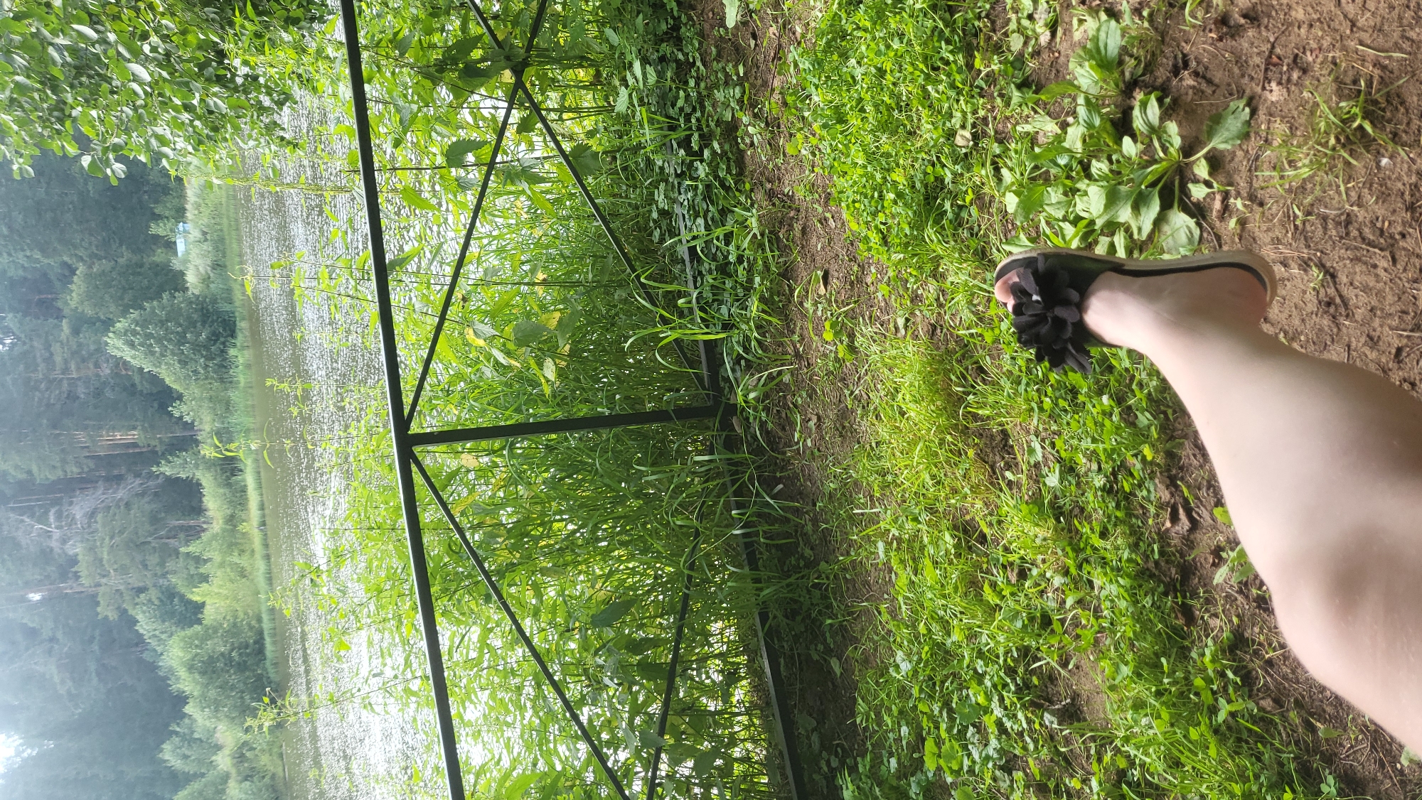 A first-person perspective shot shows a person's bare leg and foot, wearing a black sandal with a flower embellishment. The leg is resting on a patch of dirt and grass. In the background, a body of water is visible, lined by a black metal fence and dense green vegetation. Beyond the water, a forest of tall trees forms the horizon. The scene appears to be a natural setting, possibly a park or recreational area, within the city of Prikamskii, Russia. The overall lighting suggests it is daytime, likely overcast or early morning/late afternoon given the diffused light.