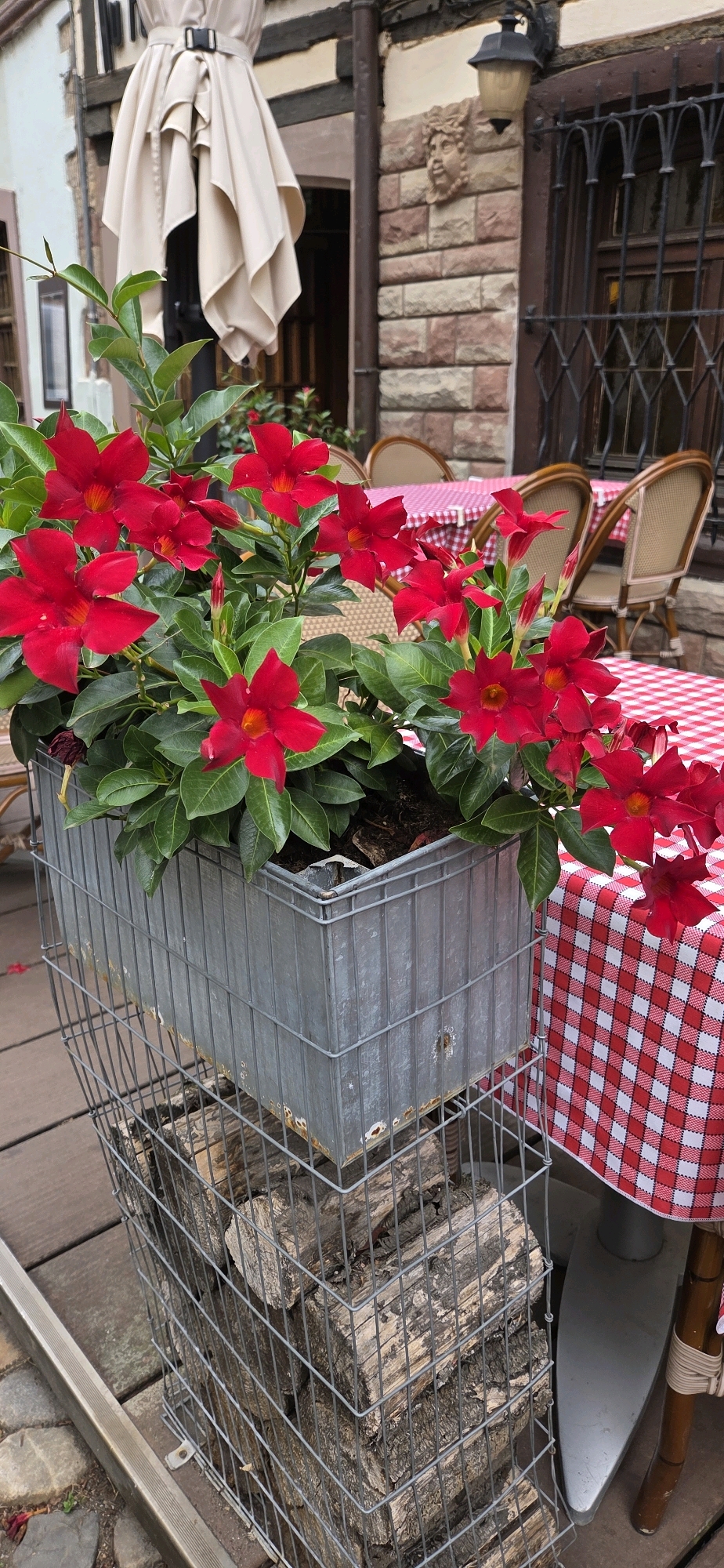 An outdoor seating area of a Strasbourg, France establishment features a table draped with a red and white checkered tablecloth. To the left of the table, a galvanized metal planter box filled with vibrant red Mandevilla flowers is displayed. The planter box rests on a wire mesh structure containing stacked logs. In the background, part of the building's facade is visible, constructed with stone and half-timbering. A vintage-style outdoor lamp is mounted on the wall. The scene appears to be a welcoming and decorative setup for patrons.