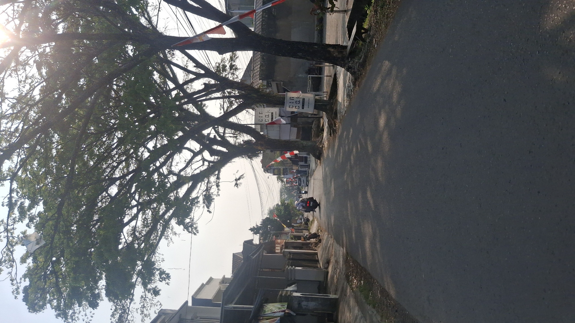 This is a low-angle, medium shot of a paved road in Tasikmalaya, Indonesia, during the daytime. The road is flanked by buildings on the left and a line of large trees on the right. Sunlight filters through the dense canopy of the trees, casting dappled shadows on the road. In the distance, several buildings and power lines are visible. Two motorcyclists are present on the road, one traveling away from the camera and another approaching. Several Indonesian flags, in red and white, are displayed on poles along the right side of the road, suggesting a national holiday or celebration. A white kite is also visible tangled in the branches of one of the trees. The overall impression is a typical street scene in a residential or commercial area, with a hint of festive decoration.