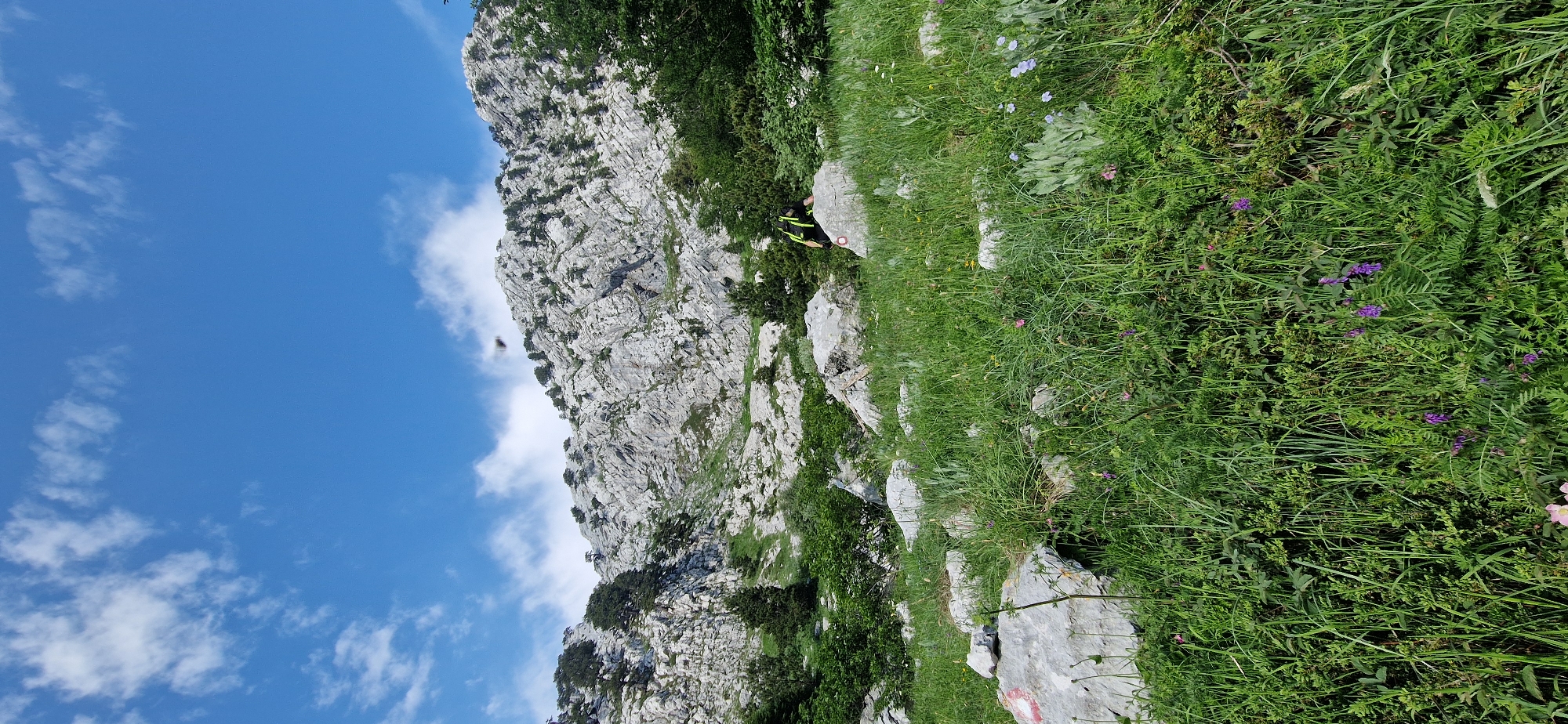 In Kruševice, Montenegro, this image captures a vast mountainous landscape under a clear blue sky with scattered white clouds. The foreground is dominated by lush green grass and rocky terrain, with scattered wildflowers in shades of purple and pink. In the mid-ground, a person wearing a backpack is visible, crouched on a rock. Beyond this, the imposing mountain face rises, characterized by its rugged, rocky surface sparsely populated with evergreen trees. The scene suggests a remote, natural environment, likely a hiking or outdoor exploration setting.