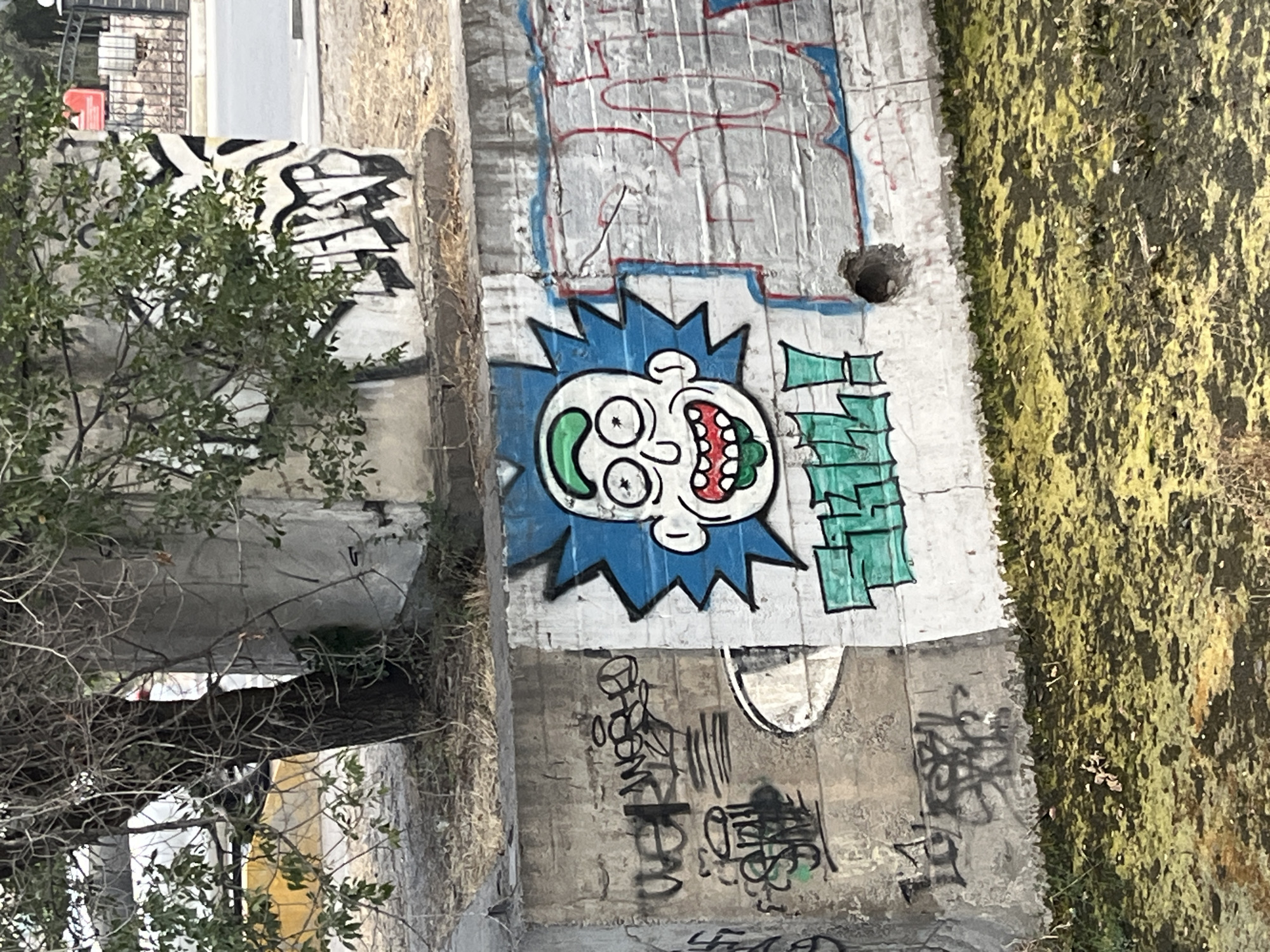 The image displays graffiti on a concrete wall in an outdoor urban environment. The graffiti features a cartoonish character with spiky blue hair, large eyes, an open mouth with a green tongue hanging out, and what appears to be a green brain or head structure. The character is depicted against a white background that is bordered by blue. To the left of the cartoon character, there is other graffiti in black, including what looks like stylized lettering and symbols. To the right of the character, there is more graffiti in red and blue on a gray, brick-like surface. The wall itself is weathered and stained. In the foreground, there is a patch of ground covered in green and yellow moss or algae. Behind the wall and the graffiti, there is a tree with bare branches and some green leaves, and a concrete structure. The overall setting suggests an urban area, possibly an underpass, a retaining wall, or a wall along a street or park. The specific location in Bishkek City, Kyrgyzstan, is not visually evident from the image itself, as there are no identifying landmarks or signs.