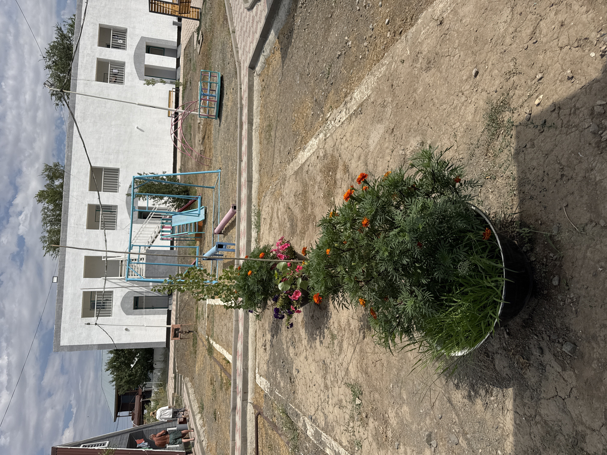 In Zharbulak, Kazakhstan, a scene unfolds on a dusty ground area near a white building with a playground. In the foreground, several potted plants are arranged in a line. The closest pot contains a lush green plant with long, slender grass-like blades mixed with some foliage and small orange flowers. Behind it, a larger pot overflows with a dark green bushy plant adorned with vibrant pink and purple flowers, along with scattered orange blossoms. Further down the line, another potted plant is visible, partially obscured.
The background features a white, two-story building with multiple windows and balconies. To the left of the building is a blue and yellow playground structure with a slide and swings. A smaller, colorful playground item, possibly a spinning carousel, is situated to the right of the slide. In the distance, trees and houses can be seen, suggesting a residential or recreational area. Two individuals, one in a white hooded jacket and the other in dark shorts and a light-colored shirt, are walking away from the viewer on a pathway leading towards the buildings, adding a human element to the otherwise static scene. The ground is primarily dry and cracked earth, with some paved pathways and decorative curbing interspersed. The sky is partly cloudy.