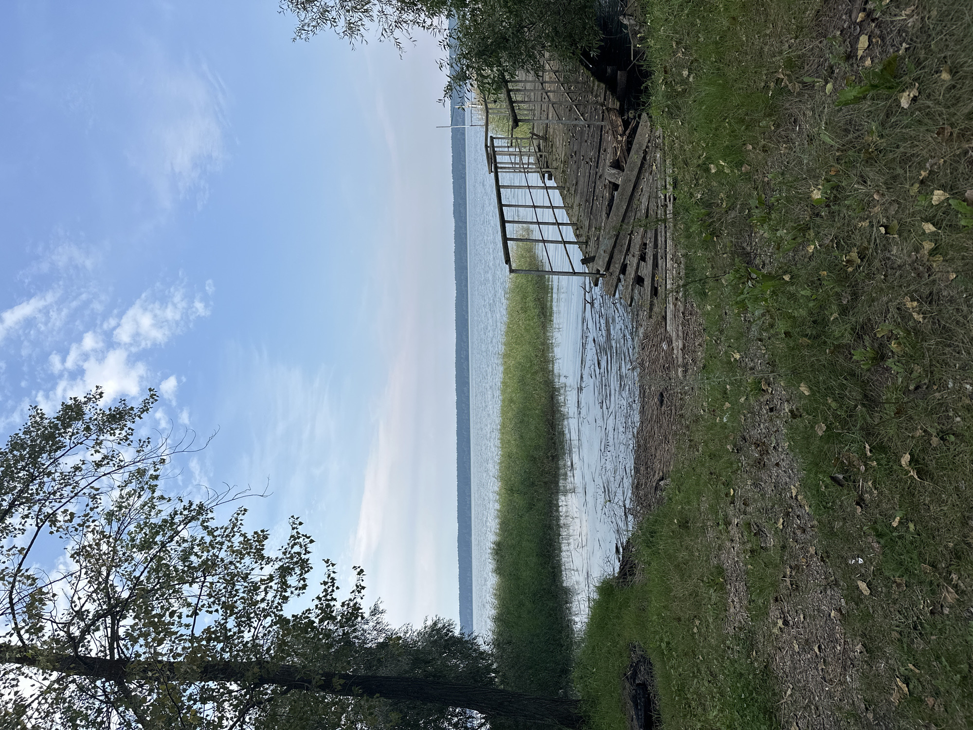 A serene natural landscape is depicted, likely in or near the village of Sadovka, Russia, featuring a calm body of water under a partly cloudy blue sky. In the foreground, a grassy bank slopes down towards the water's edge, with fallen leaves scattered on the ground. To the right, a weathered wooden pier extends partially over the water. The pier appears damaged, with some planks broken and dislodged, and is bordered by a metal railing. A large tree with green foliage stands on the left side of the frame, its branches reaching towards the sky. The middle ground is characterized by a strip of tall, green reeds growing along the waterline. Beyond the reeds, the expansive body of water stretches towards a distant treeline that forms the horizon. The overall scene evokes a sense of natural tranquility, with the decaying pier suggesting a past use that is now yielding to the natural environment. There are no people or animals visible in the image.