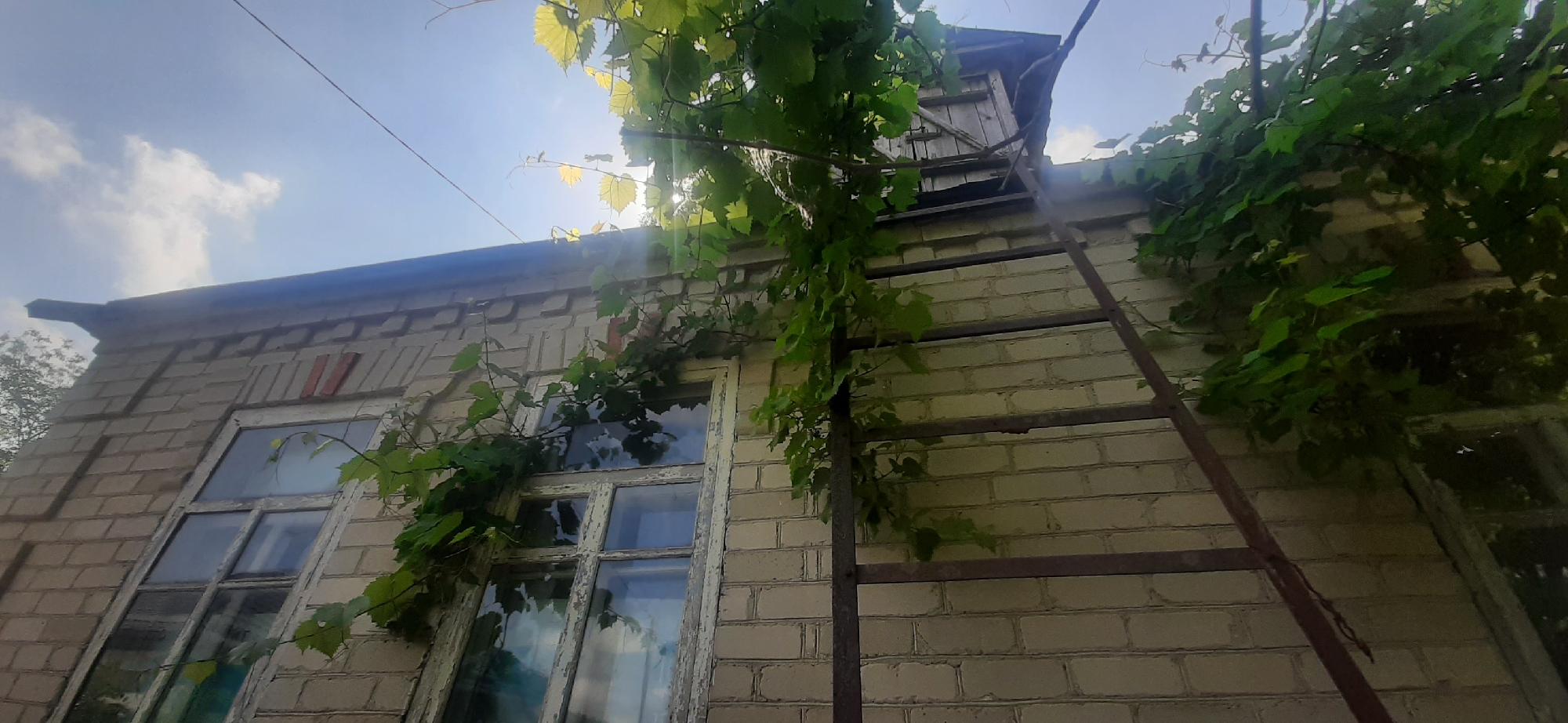 The image depicts the exterior of a brick building with a pitched roof and a small attic structure. A metal ladder leans against the building. Green vines with leaves are growing over the structure, partially obscuring a window and the attic. The sky is visible, with some clouds and sunlight filtering through. The overall scene suggests a rural or semi-rural setting. The question of this image being located in Yessentukskaya, Russia, cannot be confirmed or denied based solely on the visual information provided in the image.