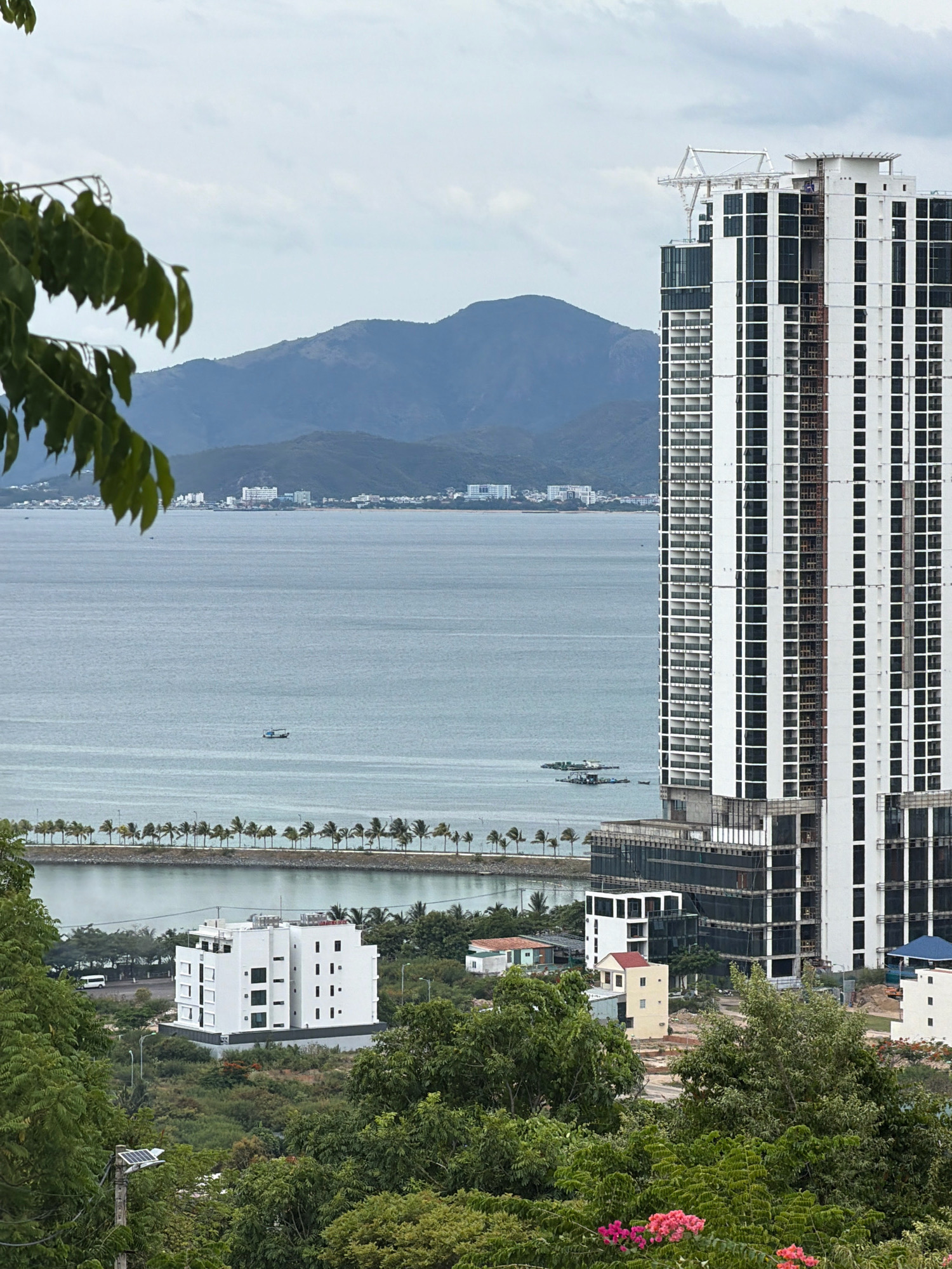 A high-angle, medium shot captures a coastal cityscape with a large building under construction dominating the right side of the frame. The building is tall and slender, featuring a white facade with dark-framed windows arranged in a grid pattern. Scaffolding and construction materials are visible on its exterior, indicating ongoing work. In the middle ground, a body of water, likely the sea, stretches across the horizon. A line of palm trees runs along the edge of the water, bordering a waterfront promenade. Further inland, several smaller white buildings and some scattered residential structures are visible. The background features a range of hazy mountains under a cloudy sky. The foreground is filled with lush green foliage and trees, with a branch of leaves from a tree hanging into the top left corner of the image. The overall scene depicts a developing urban area along a coast, with a mix of construction and established buildings. The location is the city of Nha Trang, Vietnam.