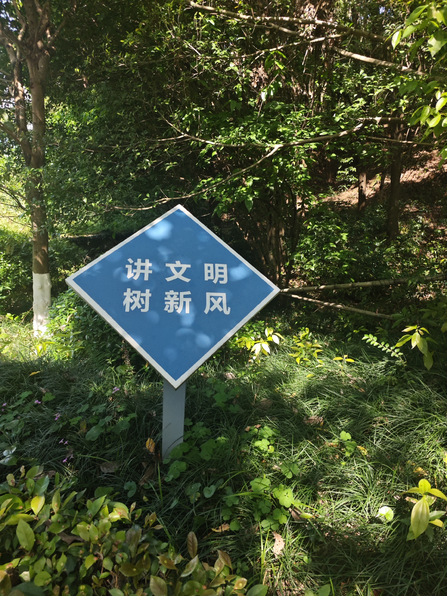 The image shows a blue, diamond-shaped sign posted in a green, overgrown area in Chongqing High-tech Zone, China. The sign has white Chinese characters on it. The sign is supported by a gray metal pole. The background includes dense foliage, trees, grass, and other vegetation. Sunlight filters through the trees, creating shadows on the ground.