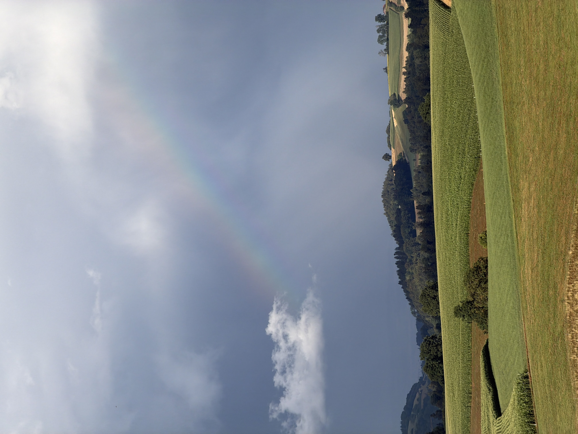 The image depicts a rural landscape in Ufhusen, Switzerland, characterized by rolling green hills and agricultural fields. The sky is dramatic, with a dark, stormy cloud formation on the left, juxtaposed with a brighter, partly sunny sky on the right where a faint rainbow arcs across. The foreground shows distinct fields, some appearing to be planted with crops like corn, delineated by subtle changes in color and texture. In the middle ground, a band of trees forms a darker, dense line across the landscape, separating the fields from the higher, more distant hills. These distant hills are also covered with trees and patches of lighter green fields. The overall impression is one of a post-rain shower scene in the Swiss countryside. There are no people or animals visible in the image.