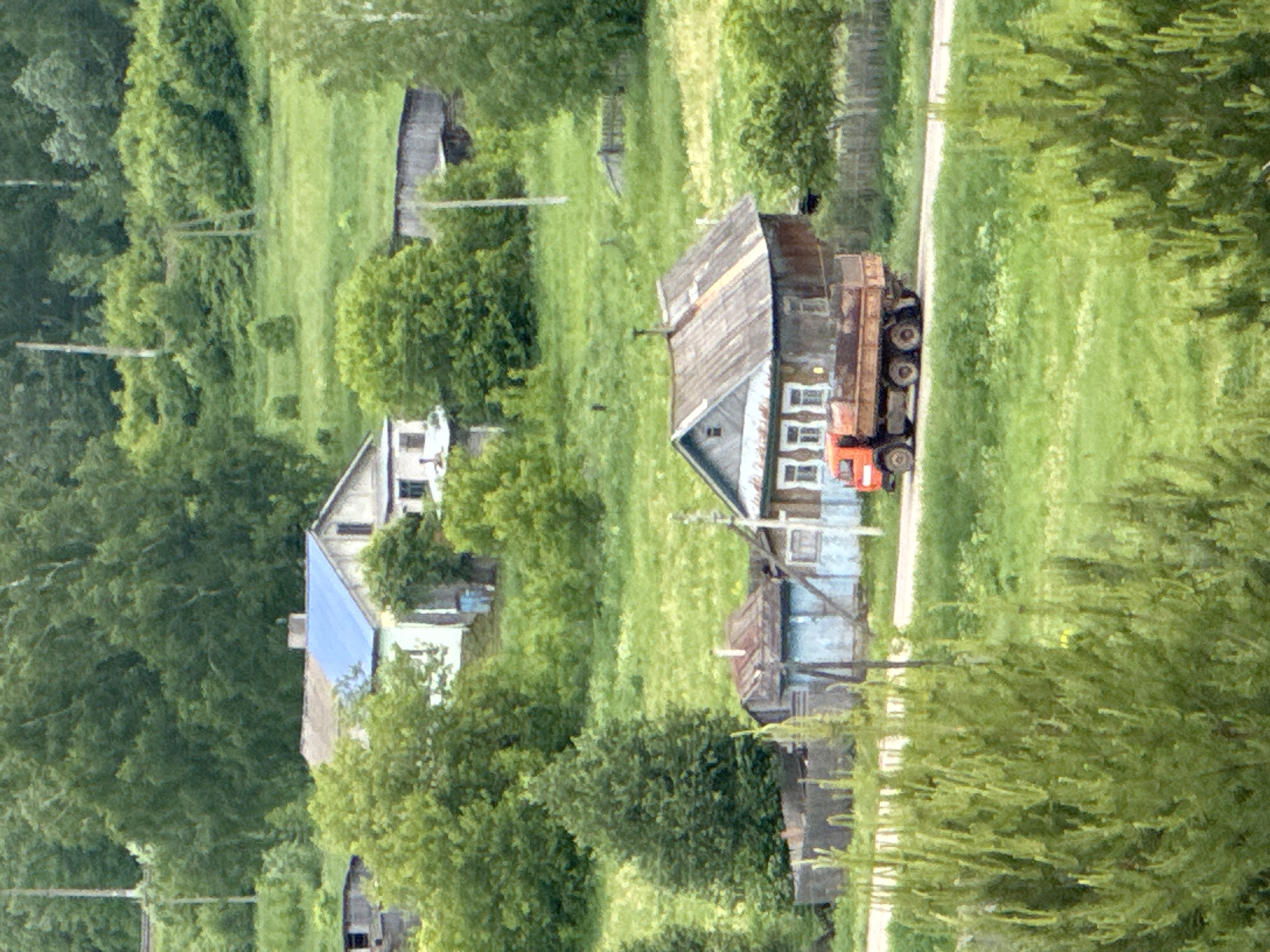 The image displays a panoramic view of a rural village scene, likely taken during daylight hours in a warm season such as summer or late spring. The landscape is dominated by lush green grass and numerous deciduous trees, creating a verdant environment.
In the mid-ground, a prominent, older wooden house is visible on the right side of the frame. It features a weathered, light-colored facade with several small, rectangular windows. Its roof appears to be made of aged wood or corrugated material. Next to this house, a rusty, orange or reddish-brown heavy-duty truck or dump truck is parked on a dirt or gravel path that traverses the scene. The truck's large bed and wheels are clearly visible.
Further back and to the left, another house with a distinctive bright blue roof stands out amidst the trees. Other structures are partially obscured by the dense foliage. The overall impression is that of a quiet, rustic settlement surrounded by nature. There are no people visible, and no explicit activities are occurring. The weather appears clear and bright, with soft lighting suggesting mid-day. No visible text is present in the image. The setting is consistent with a village environment, fitting the provided location context of Пычас, Russia.