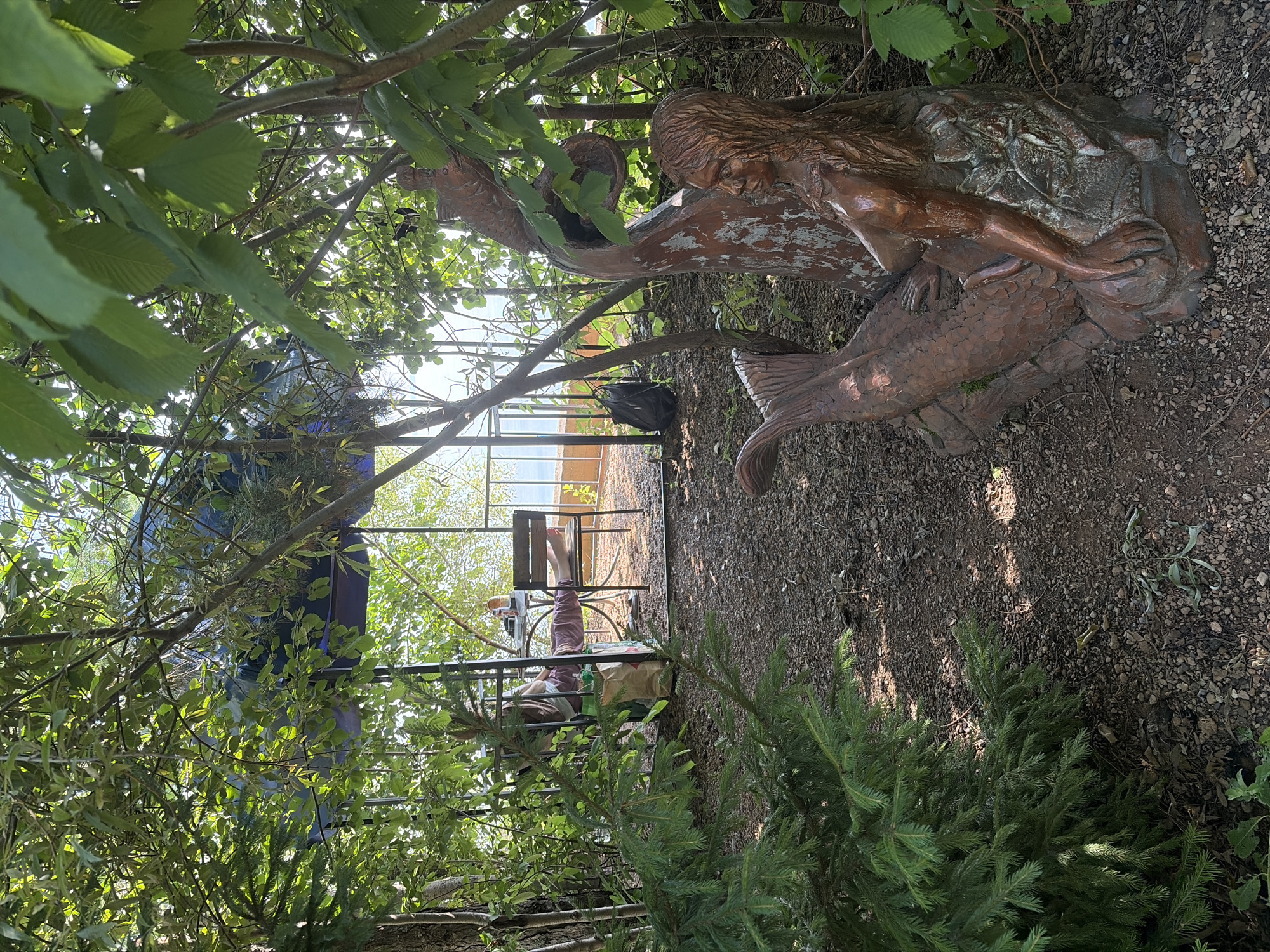 This image depicts an outdoor scene with lush greenery and a wooden sculpture of a mermaid. The sculpture is in the foreground, made of wood with a reddish-brown patina, and features detailed rendering of the mermaid's tail and upper body. Behind the sculpture, a path covered with small stones leads to a covered seating area with a table and chairs. A person is seated at the table, with their legs extended, and a shopping bag is placed on the ground beside them. A black backpack is visible near a railing in the background. The environment appears to be a natural setting, possibly a garden or a park, with trees and foliage surrounding the area. The sky is bright, suggesting it is daytime. The image does not provide specific information to locate it in Kostovaty, Russia, or any other specific city.