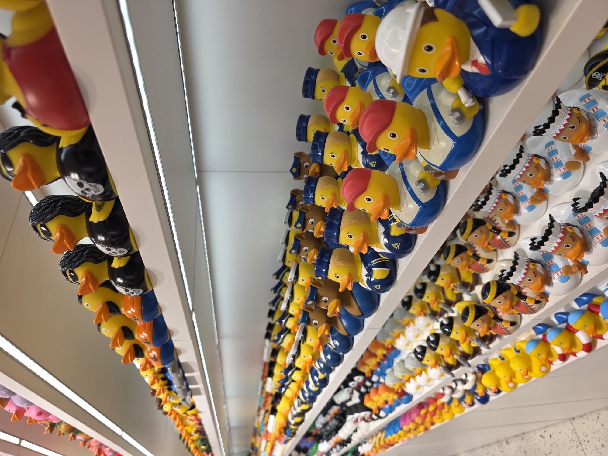 The image displays a store shelf filled with an extensive collection of novelty rubber ducks. The ducks are arranged in multiple rows on white shelves, illuminated by recessed strip lighting along the front edge of each shelf. The collection features a variety of themes, including ducks dressed as construction workers, pilots, police officers, and characters with punk-rock aesthetics, indicated by black wigs and skull motifs. There are also ducks with Native American headdresses and a variety of plain-colored ducks. The overall impression is one of a retail environment with a focus on collectible toys, presented in a well-organized and brightly lit manner. The background appears to be a white wall, creating a clean and minimalist setting.