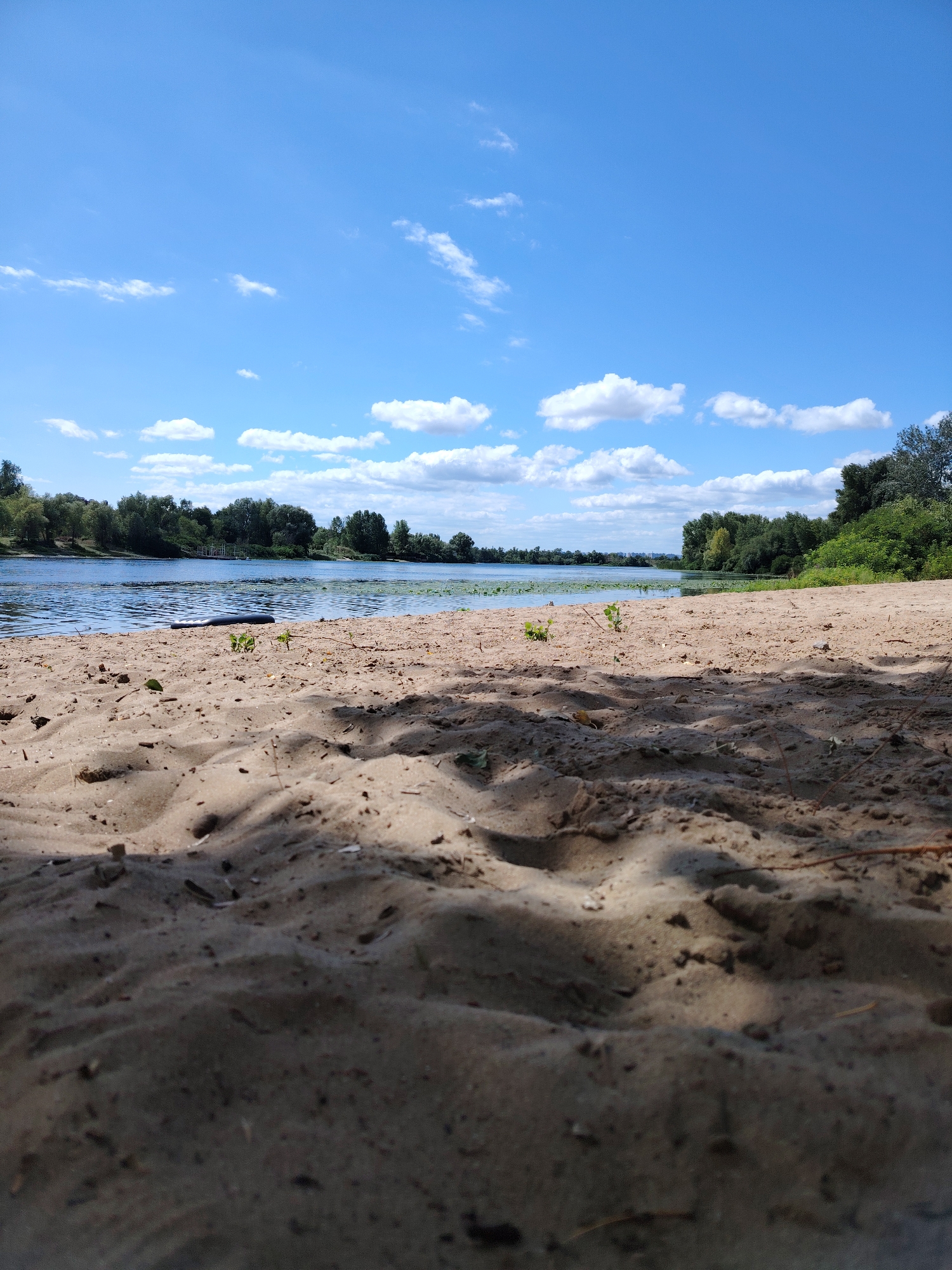 An eye-level shot shows a sandy shore leading to a wide river. The sand in the foreground is coarse with small pebbles and plant debris. In the middle ground, a dark, elongated object lies on the sand near the water's edge. The river is calm, with some aquatic plants visible on its surface. Dense green trees line the opposite bank of the river, forming a thick forest. The sky above is a clear blue, punctuated by scattered white clouds. The scene suggests a natural setting, possibly a park or a recreational area, in a location within Ukraine.