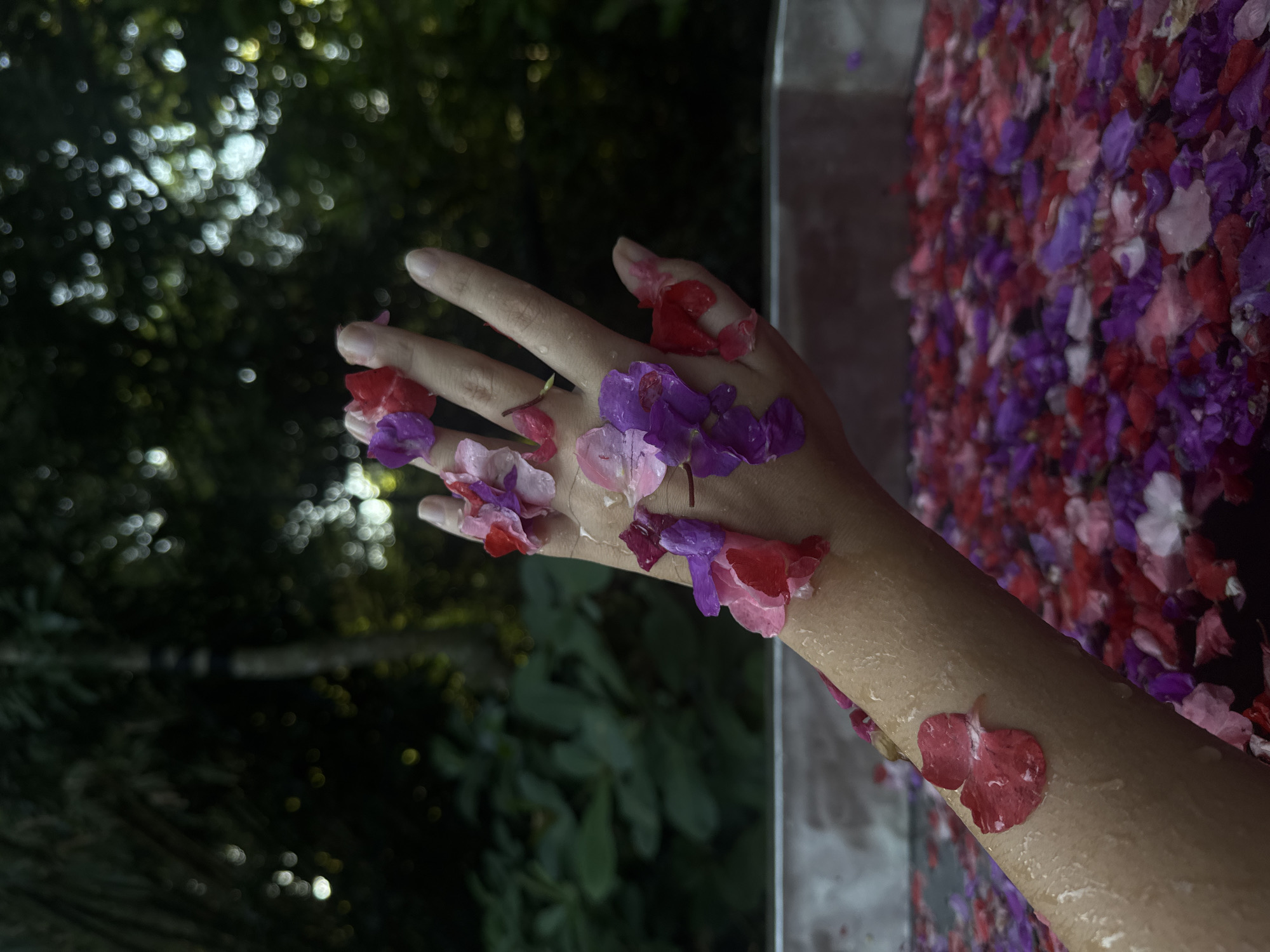 In an outdoor setting with lush, dark green foliage in the background, a hand and arm are submerged in a shallow tub filled with numerous colorful flower petals, predominantly in shades of red, pink, and purple. The skin of the arm and hand appears wet, with water droplets visible. Several flower petals are adhered to the hand and arm, adding to the visual effect. The lighting suggests it may be dusk or a shaded area, with soft light filtering through the trees.