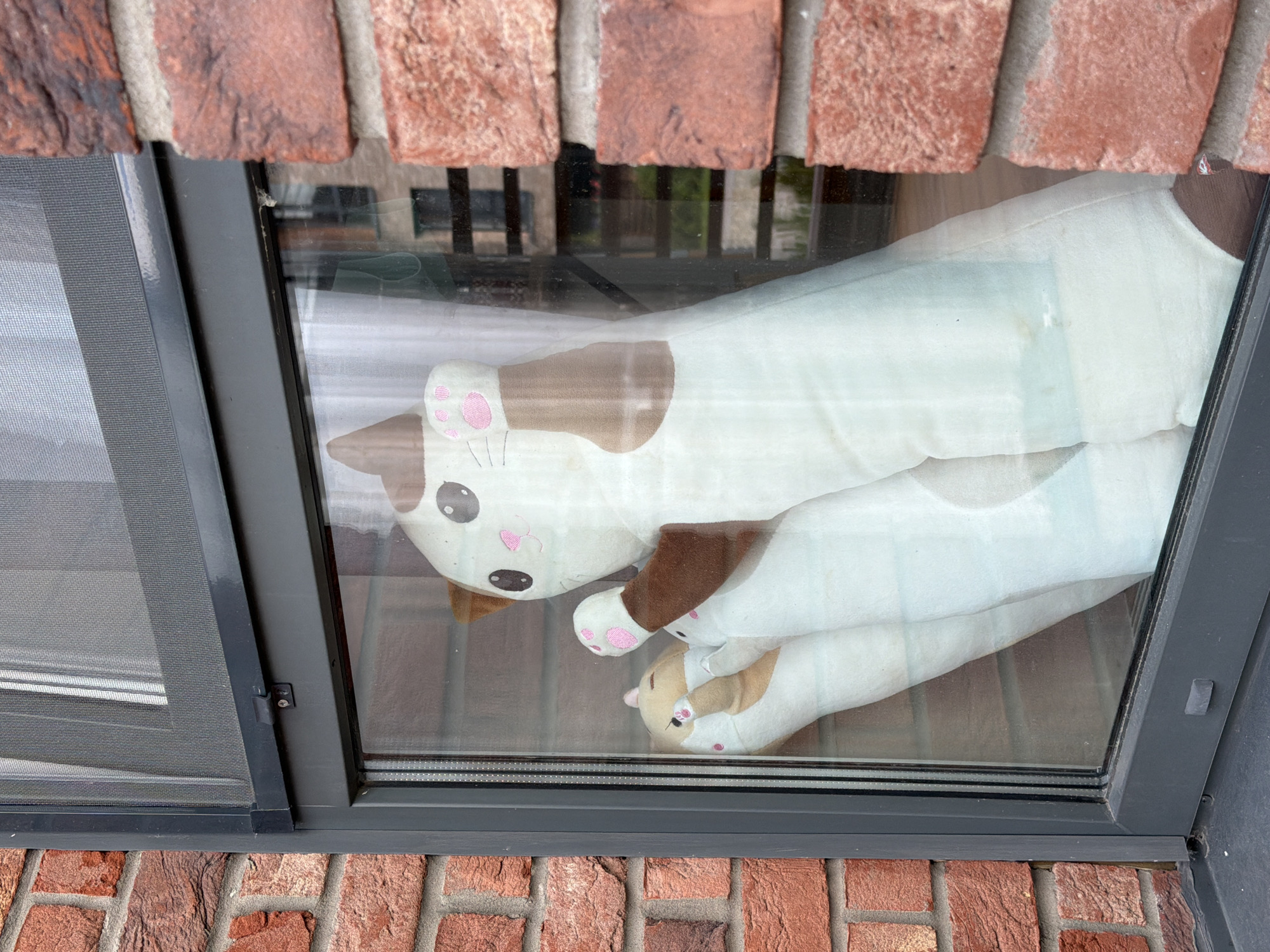 In Strelna, Russia, two long, plush cat toys are positioned against a window pane. The larger toy, predominantly white with brown markings on its ears and a tail, faces towards the viewer. Its features include black eyes, a pink nose, and pink paw pads. It is reaching its right paw forward, in a gesture that could be interpreted as beckoning or greeting. Behind it, a second, smaller cat toy, also light-colored with brown patches and pink paw pads, is visible, partially obscured. Both toys are propped up behind a sheer white curtain. The window is framed by a dark grey material and set within a red brick wall. The brickwork is visible to the left and right of the window. The scene is observed from an exterior perspective looking into the window.