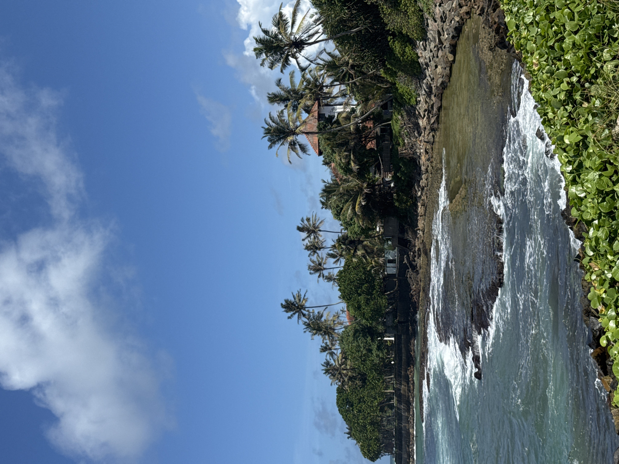 The image shows a coastal scene in Goviyapana, Sri Lanka. Palm trees line the shore against a partly cloudy blue sky. Buildings are nestled among the trees. Waves crash against the rocky shoreline, which is covered in some areas with lush green vegetation.
