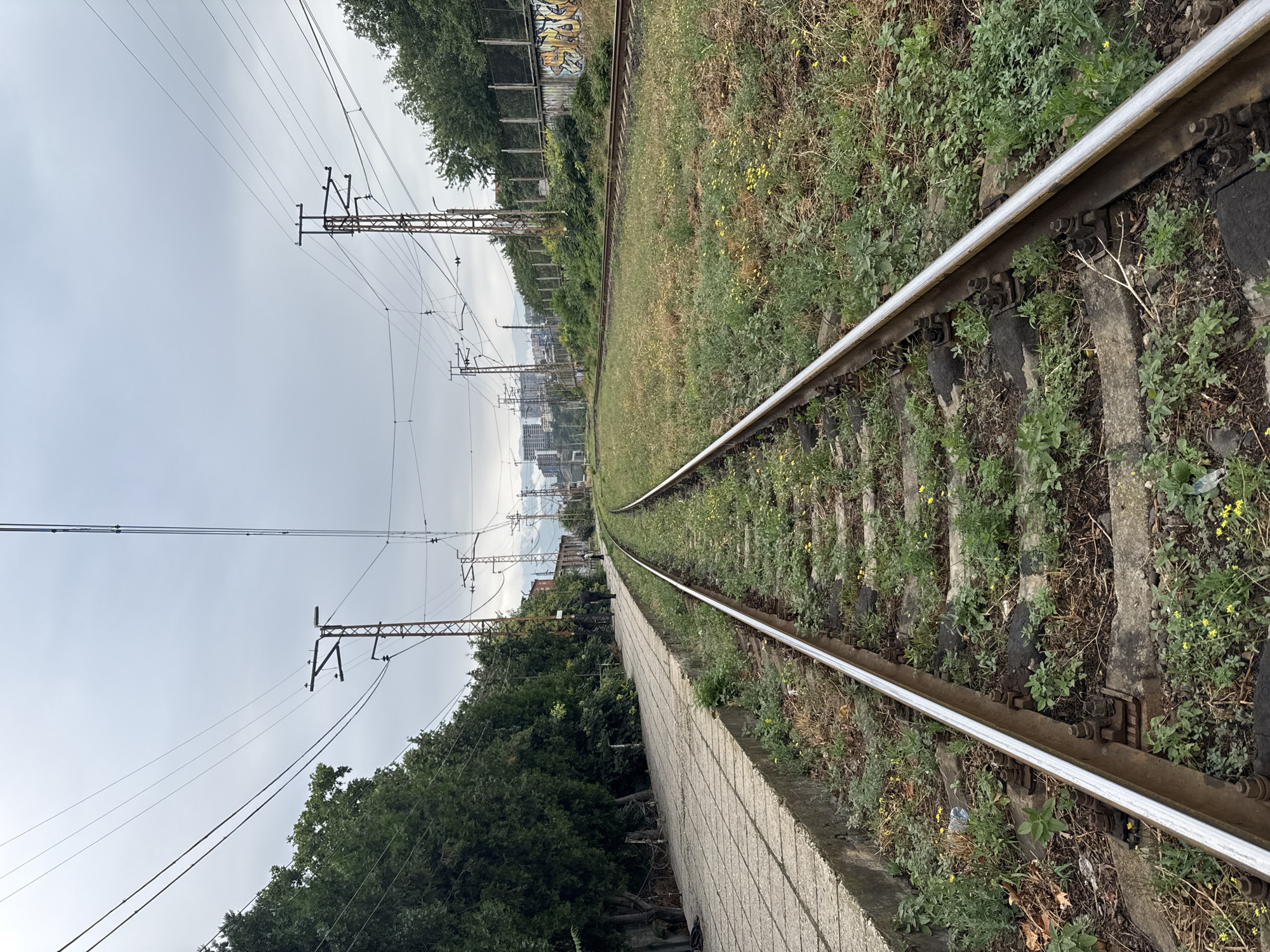 This is a vertical, eye-level shot of a railway line in Tbilisi, Georgia. The train tracks in the foreground are overgrown with grass and small yellow flowers. To the left, a concrete platform runs alongside the tracks, with a line of trees behind it. In the distance, several people are visible on the platform, and a city skyline with tall buildings can be seen under an overcast sky. The image is rich in detail, showcasing the textures of the railway tracks, the concrete platform, and the surrounding vegetation. The presence of power lines and pylons suggests an urban or semi-urban environment.