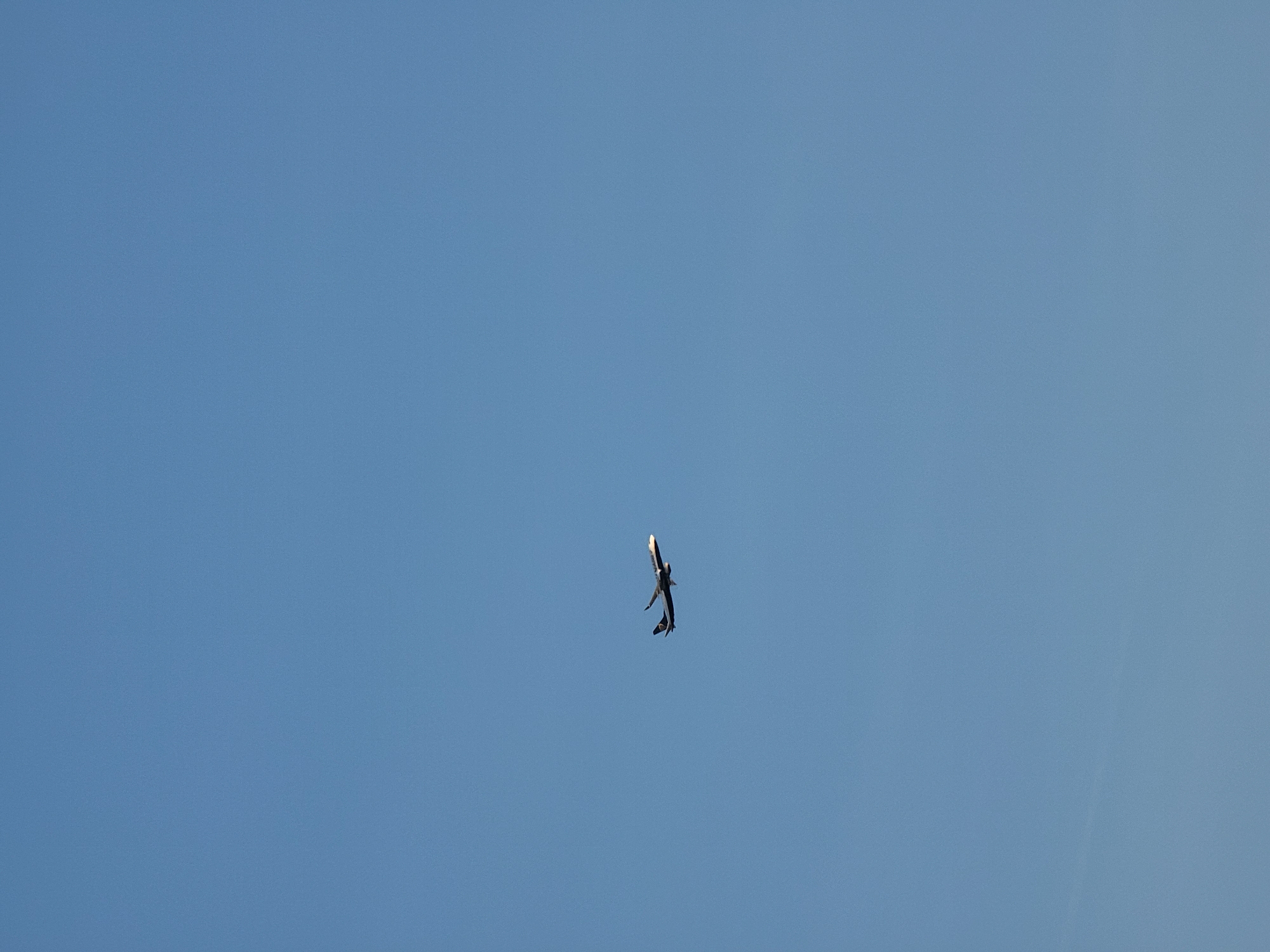 An airplane is flying in a clear blue sky. The airplane is dark in color with a yellow logo on its tail. The airplane is visible in the center-right of the image, flying horizontally. The image does not contain any information about its location in Quarteira, Portugal.