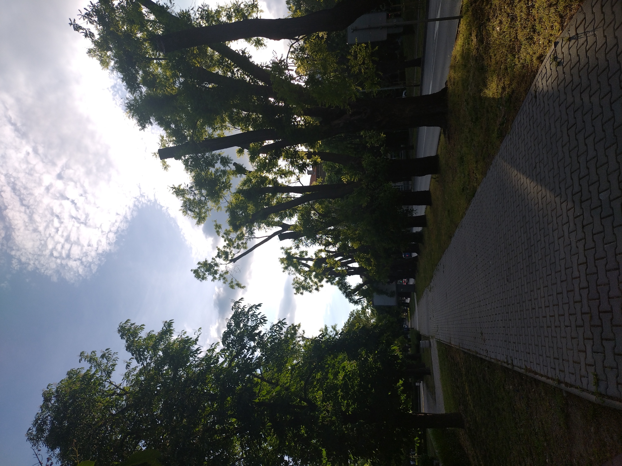 The image depicts a tree-lined walkway in Stara Zagora, Bulgaria. The walkway, paved with gray interlocking blocks, stretches into the distance. To the left of the walkway is a strip of grass, followed by a street with minimal traffic. A row of mature trees lines the walkway, their branches extending overhead, partly obscuring the sky. The sky is a mix of blue and white, with scattered clouds. The trees provide shade, and sunlight filters through the leaves. The angle of the photo suggests it was taken from a low vantage point.