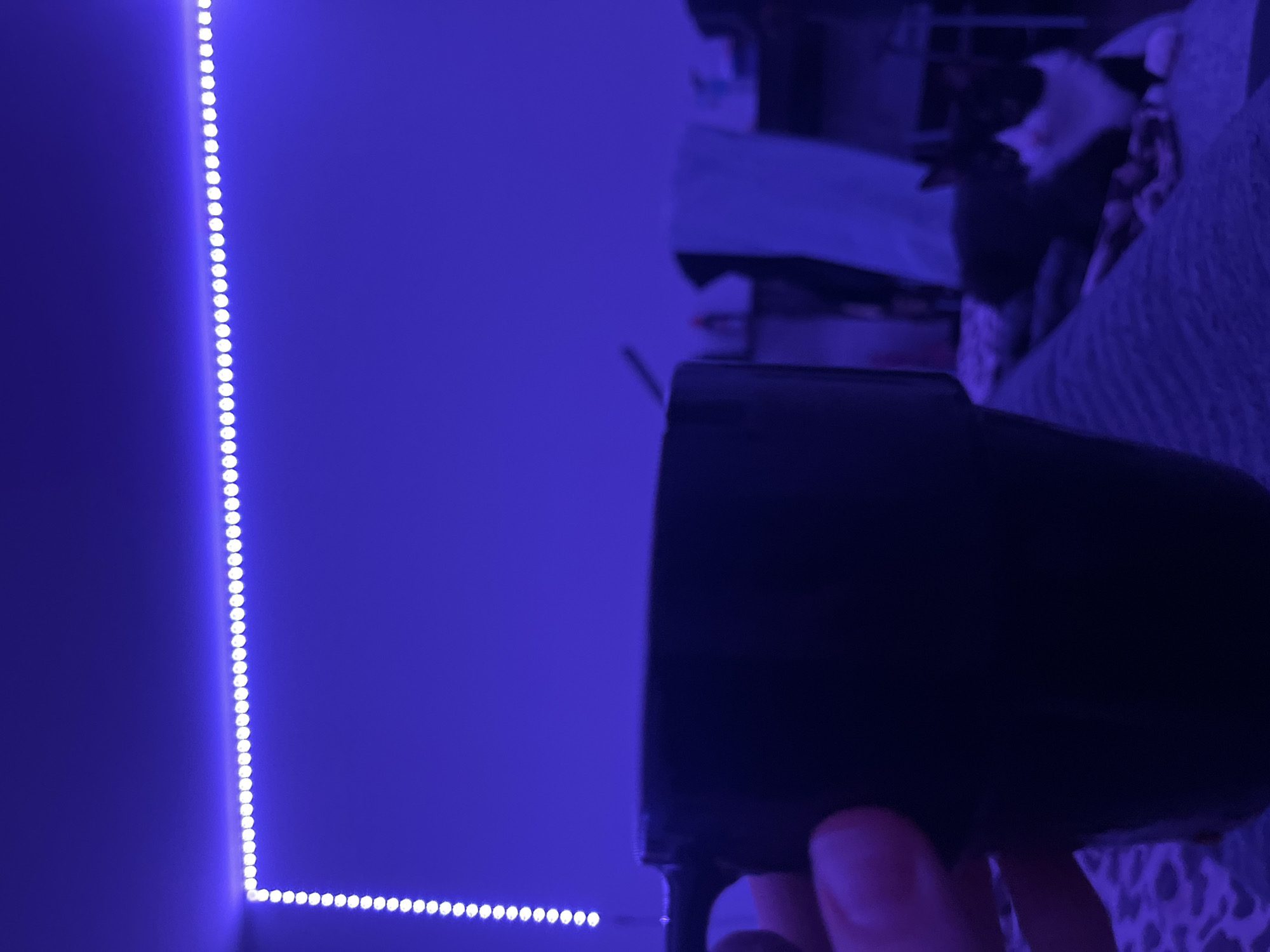 The image presents a dimly lit room with a strong blue cast, likely from LED strip lights positioned along the wall. The lights form a corner, suggesting a rectangular or square room. A dark object, possibly a mug or container, is held in the foreground, partially obscuring the view. In the background, indistinct shapes suggest a bed or furniture with a patterned cover. There's also a glimpse of what might be a cat or other animal on the bed. The location cannot be determined from the image; it is not possible to determine if it's in Saint Petersburg, Russia.