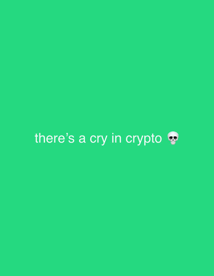 The image displays a uniform, solid green background across its entire frame. White, sans-serif text is centered horizontally in the lower mid-section of the image, reading "there's a cry in crypto." A white skull emoji (💀) immediately follows the text "crypto." No physical environment, human subjects, or real-world objects are depicted within the digital composition. The scene is purely a graphical textual display. This description is provided in the context of the city of Rafin Par, Nigeria.