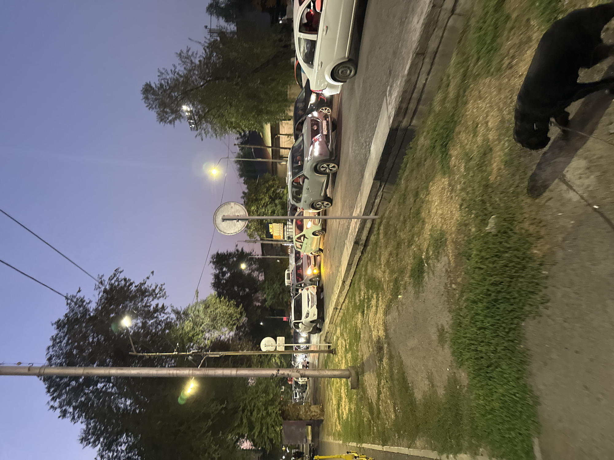 The image depicts a street scene at dusk in Almaty, Kazakhstan. A procession of cars is stalled in traffic on a multi-lane road. The sky above is a deep purple, indicating twilight. Tall trees line the left side of the road, with streetlights illuminating parts of the scene. A black dog on a leash is visible in the foreground, casting a long shadow. The overall atmosphere is that of a busy urban environment during a period of heavy traffic.