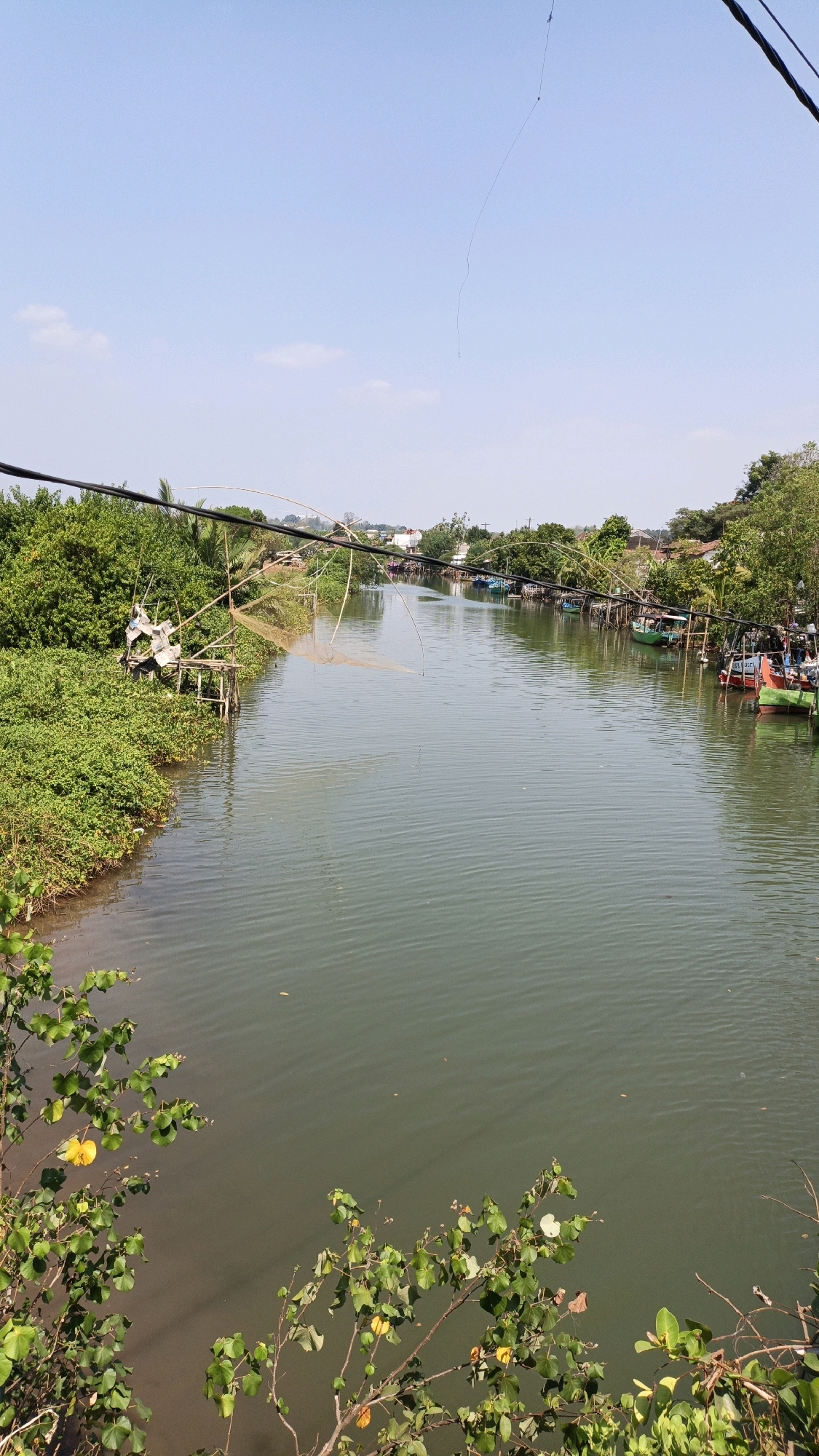 This is a high-angle, vertical, eye-level shot of a river in Jepara, Indonesia. The river is wide and calm, with a slight ripple on its surface. On the left bank, lush green vegetation grows densely. A rickety wooden structure with a fishing net attached to it stands in the water. On the right bank, several small boats are moored along the shore, and a line of houses and trees can be seen further inland. The sky is clear and blue, with a few wispy clouds. Two black power lines run diagonally across the top of the frame. In the foreground, branches of a leafy plant with yellow and green leaves hang down into the frame. The scene appears peaceful and rural.