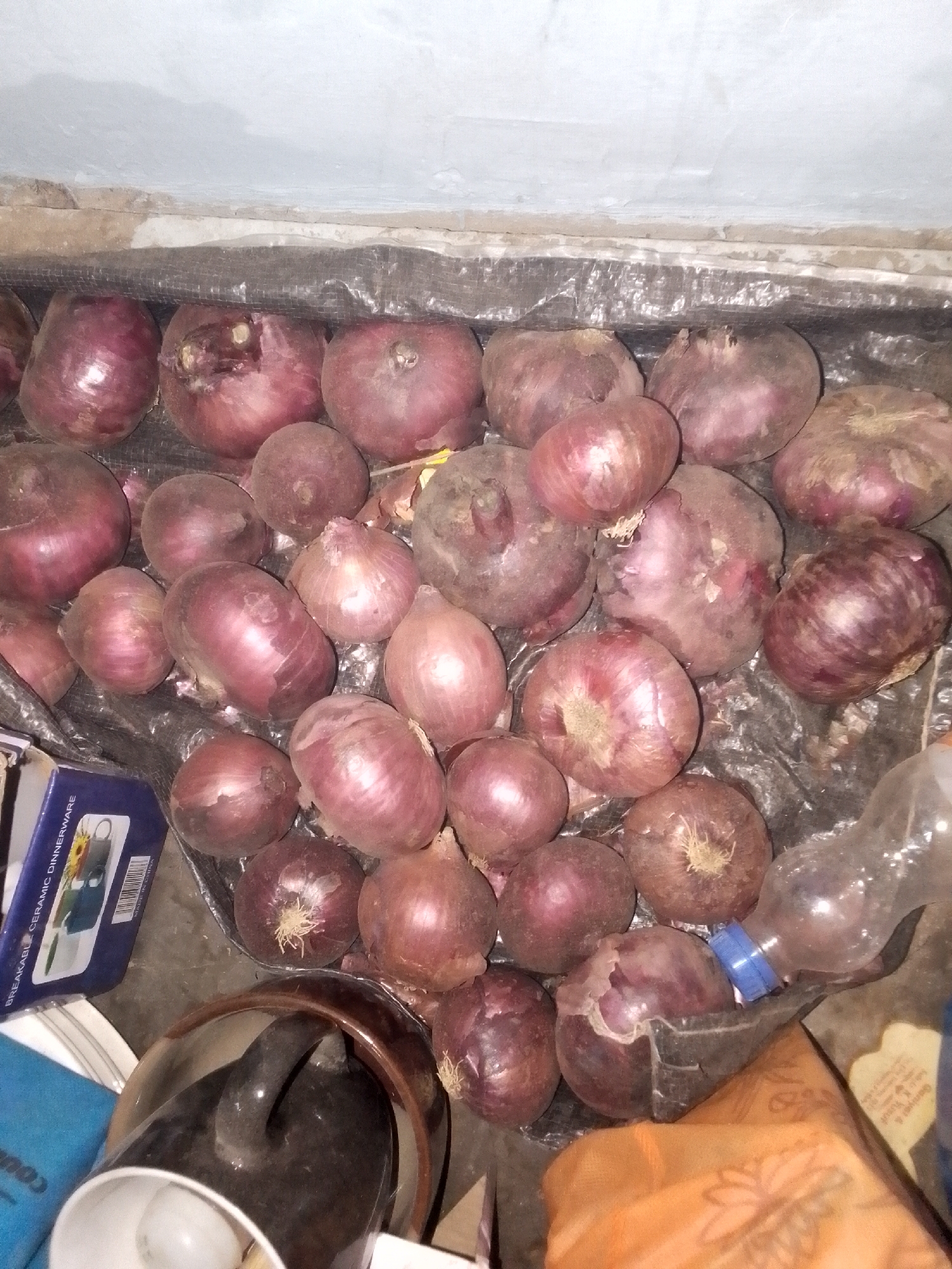 The image depicts a collection of red onions spread out on a surface covered with a dark, possibly plastic, sheet. The onions vary in size and color intensity, some showing signs of sprouting or blemishes. Scattered around the onions are various household objects including a cardboard box labeled "BREAKABLE CERAMIC DINNERWARE," a clear plastic bottle with a blue cap, a brown and black ceramic pitcher, and other items obscured by the onions. The background suggests an indoor setting with a light-colored wall. The scene appears cluttered and disorganized. It is reported to be located in Narayi, Nigeria.