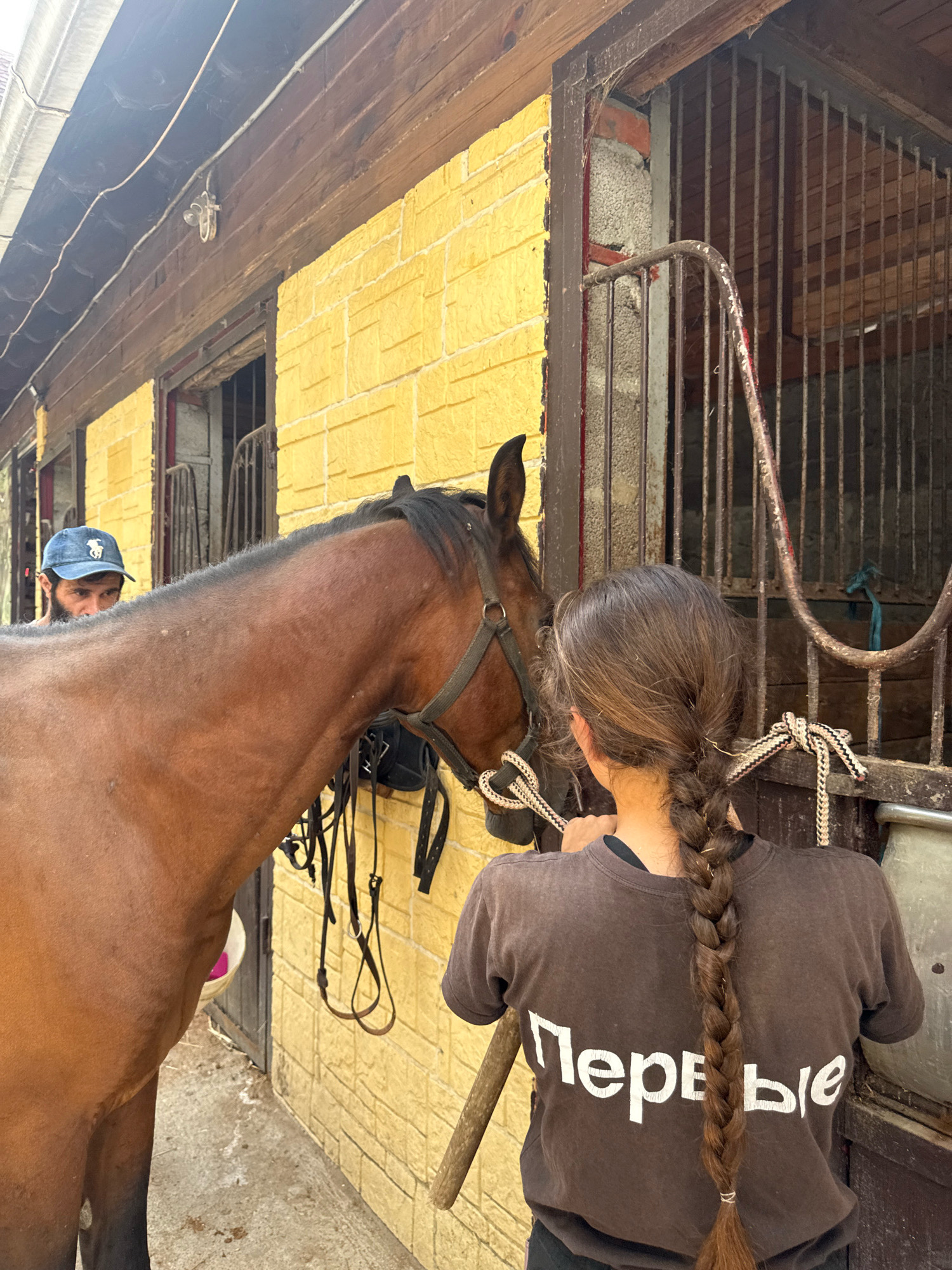 In Tenginka, Russia, a brown horse is being tended to by a young woman with a long braid, wearing a dark t-shirt with white lettering. A man in a blue baseball cap looks on from behind the horse. The scene appears to be taking place outside a stable, with a yellow brick wall and wooden beams forming the structure. The horse is wearing a bridle, and there are various pieces of tack hanging nearby. The ground is a mix of concrete and dirt.