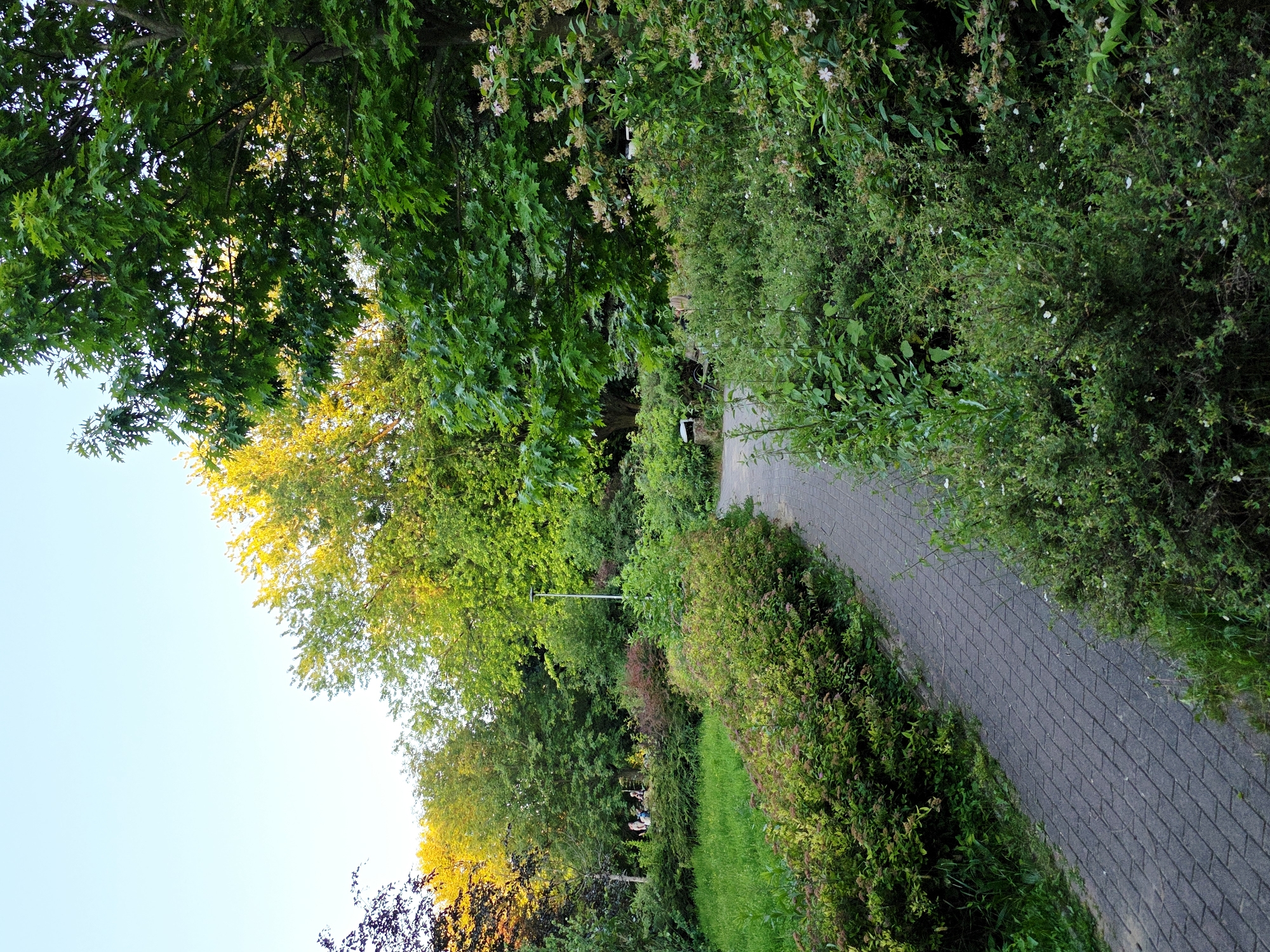 The image depicts a park path curving through lush greenery under a bright, clear sky, suggesting a pleasant daytime setting. On the left, a large tree with vibrant green leaves, some tinged with yellow, dominates the scene. To the right, a paved pathway made of grey interlocking bricks winds its way into the distance, bordered by dense bushes and trees. Sunlight filters through the foliage, casting dappled light on the path and illuminating the leaves with a warm glow, hinting at either early morning or late afternoon.
Further along the path, a small group of people can be seen sitting on the grass, their forms indistinct amidst the foliage, suggesting a moment of relaxation or casual gathering. A solitary lamppost stands near the center of the image, its purpose evident in the surrounding park setting. The overall atmosphere is serene and natural, characteristic of an urban park designed for recreation and escape. While specific details of the people are not discernible, their presence adds a touch of life to the otherwise natural landscape. No visible text is present in the image. The scene is likely located in Warsaw, Poland, as suggested by the location context.