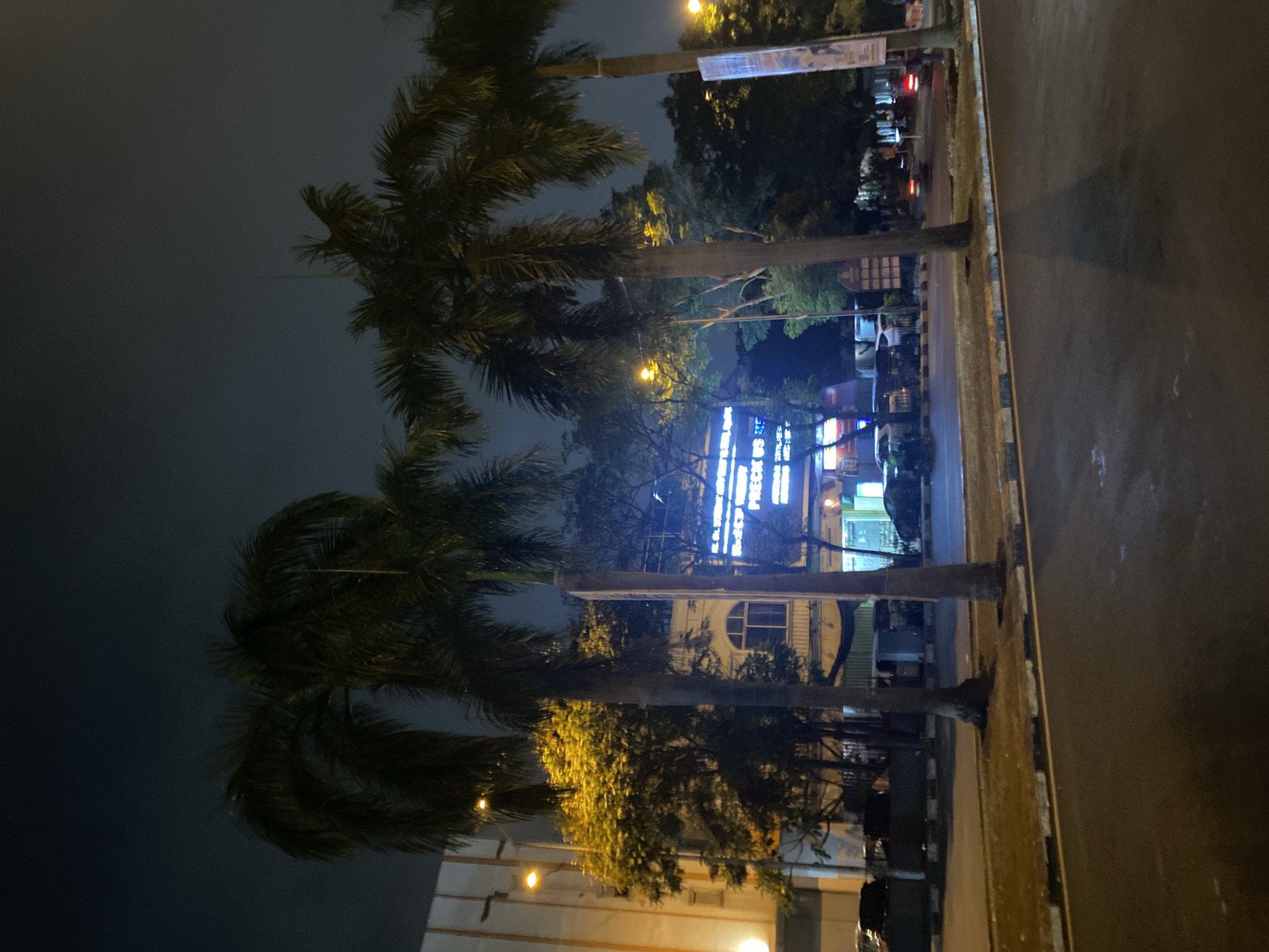 This is a nighttime street-level photograph taken in Tangerang, Indonesia. The scene depicts a road in front of a building adorned with bright neon signage. Several palm trees are prominently featured in the foreground and midground, casting shadows on the asphalt. The building behind the palm trees has a light-colored facade and a large, arched window. The neon signs on the building are in blue and white, with some text legible, including "CHECK US." Cars are visible parked along the street and in motion on the road. The sky is dark, indicating nighttime.
