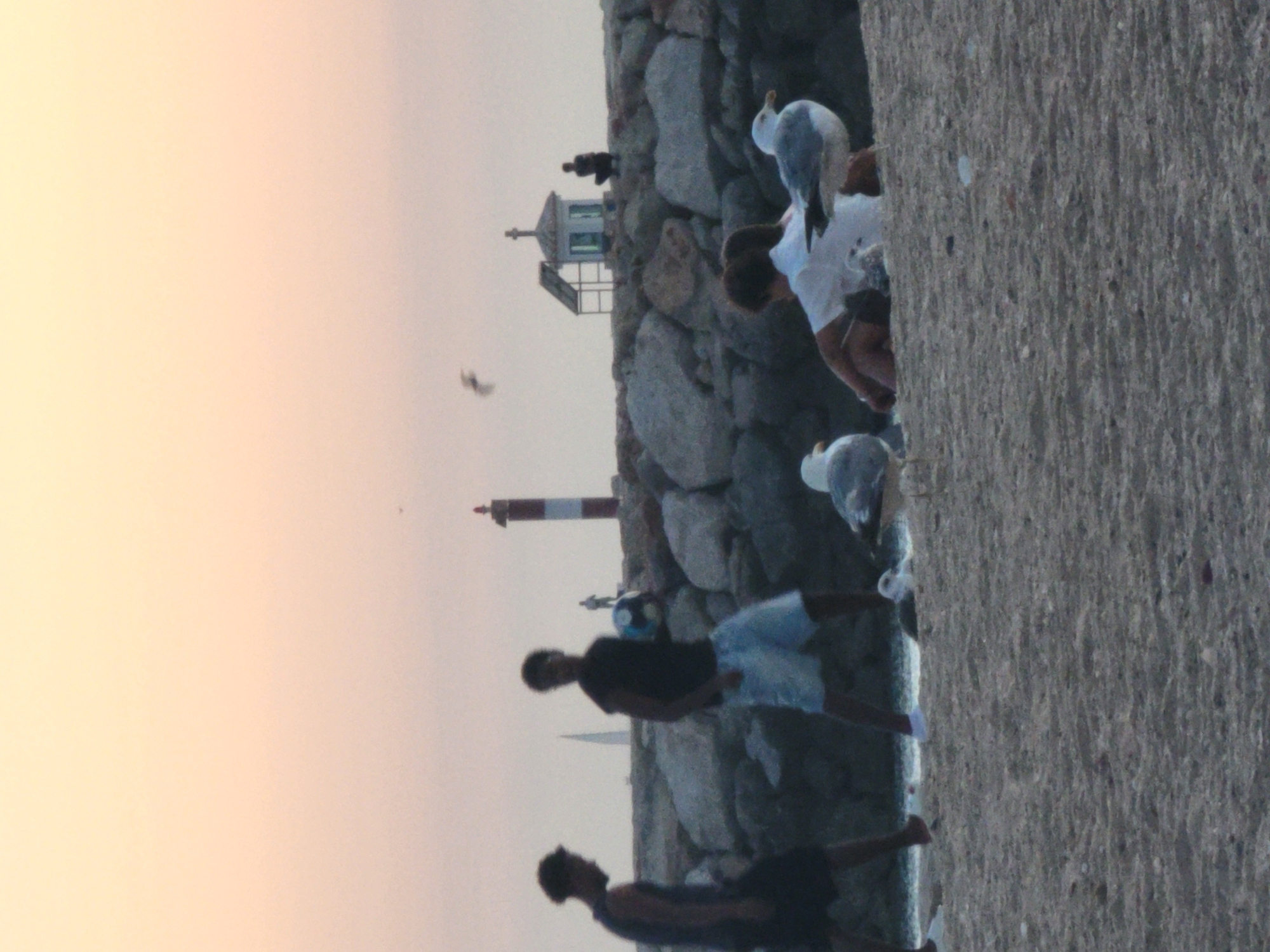 The image depicts a beach scene with a rocky breakwater in the background, suggestive of the Quarteira coast in Portugal, given its characteristic breakwaters and proximity to the Atlantic. The sky exhibits a soft, warm gradient, indicating either dawn or dusk.
In the foreground, the sandy beach is sparsely populated. On the left, two individuals are visible. One man, dressed in dark attire, walks away from the camera, his silhouette defined against the horizon. To his right, another man, also in dark clothing, stands with a football, looking towards the left. His attire includes white shorts.
Further along the breakwater, several seagulls are present. One is perched on the rocks, while another is in flight above a small, white structure with a cross, resembling a chapel or shrine. A lighthouse with red and white banding stands to the left of this structure.
In the mid-ground, a group of three people are seated or reclining on the breakwater, facing away from the camera. One individual, wearing a white top, is the most prominent. Two seagulls are positioned in front of them on the sand, with one appearing to be close to the seated individuals. Another seagull is visible on the breakwater to the right of the seated group. A solitary figure is crouched near the chapel-like structure. The overall impression is a relaxed, coastal setting at the end of the day.