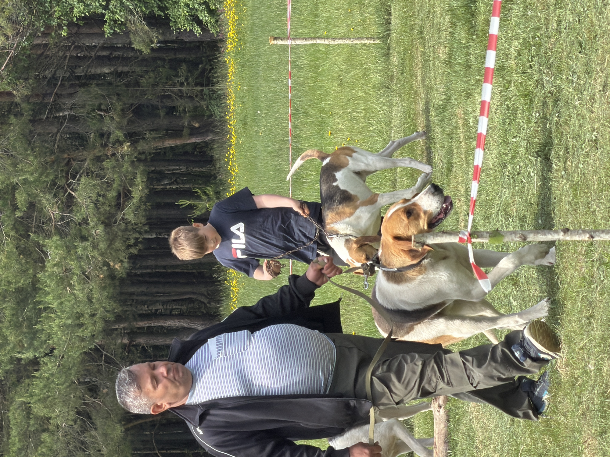 The image shows two men and two dogs at what appears to be a dog show or training event in a grassy area, possibly in or near Chaikovsky, Russia. A man is holding the leashes of two hounds as they jump over a low barrier. A younger person stands nearby. The event seems to be taking place outdoors on a sunny day. There is a wooded area to the left of the image, and a field of yellow flowers in the background.
