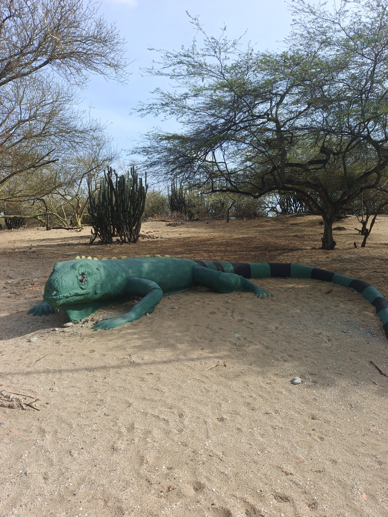 The image shows a large, green iguana statue lying on sand in a park or desert-like environment. The statue has a black and green striped tail. In the background, there are trees with sparse foliage and cacti. The sky is partially cloudy. The location is possibly in or near the city of Coro, Venezuela. There are no people in the image.