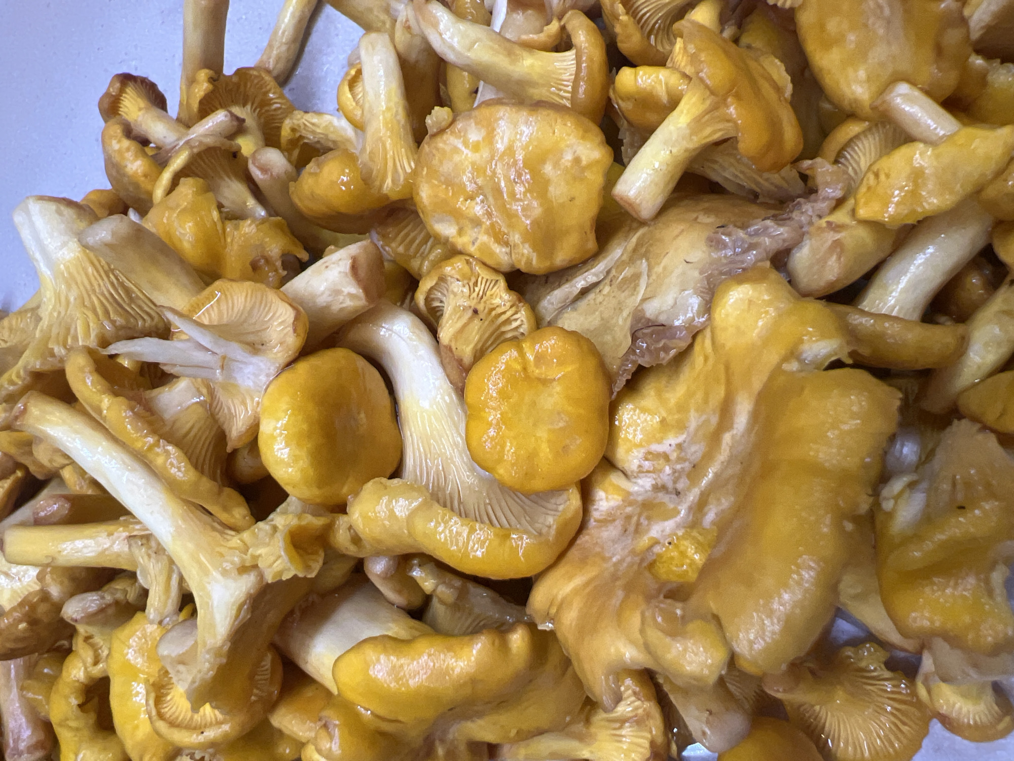 The image is a close-up, overhead shot of a large pile of fresh chanterelle mushrooms. The mushrooms are a vibrant yellow-orange color, with visible gills on the underside of their caps and thick, pale stems. They appear to be clean and unblemished. The lighting is bright, highlighting the moist texture of the mushrooms. The background is a plain, light-colored surface, possibly a countertop or table. The image does not provide any information about the location in Saint Petersburg, Russia, or any people or actions taking place.