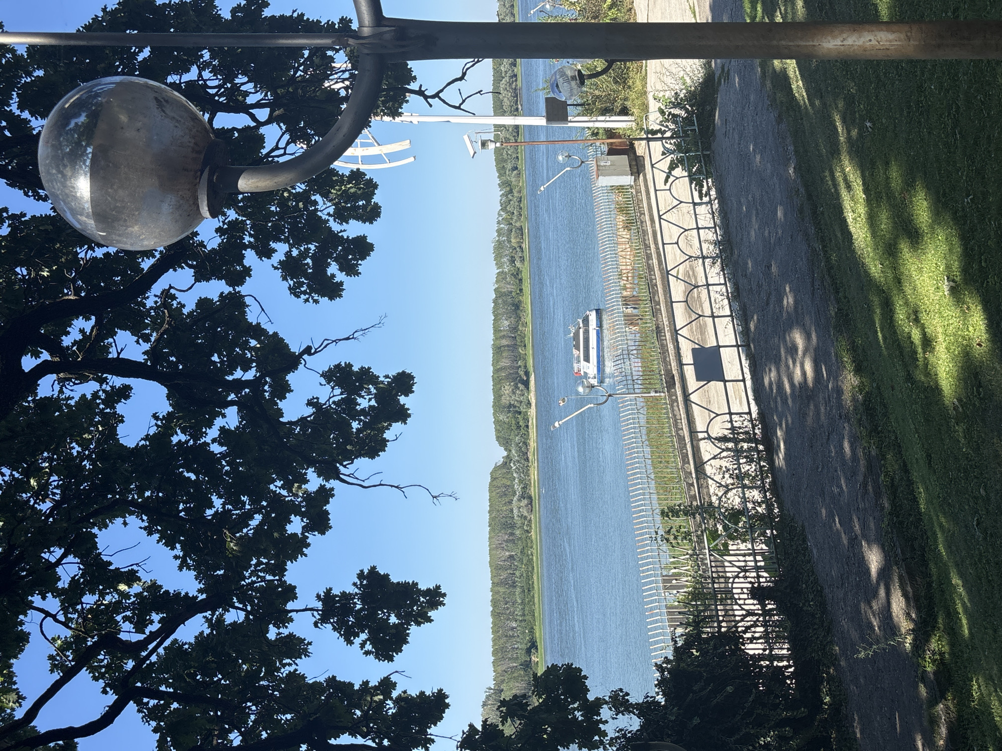 The image captures a serene view of the Danube River in Silistra, Bulgaria, as seen from a tree-lined park. In the foreground, the gnarled branches of a large tree frame the scene, casting dappled shadows on a gravel path and lush green grass. A metallic lamppost with a spherical glass head stands to the right, partially obscuring the view. Beyond the path and a decorative metal fence, the wide expanse of the Danube River dominates the mid-ground. A white and blue passenger boat is visible on the water, heading towards the left. The opposite bank of the river is densely forested with a line of green trees under a clear blue sky. The overall impression is one of tranquility and natural beauty, characteristic of the Silistra riverside.