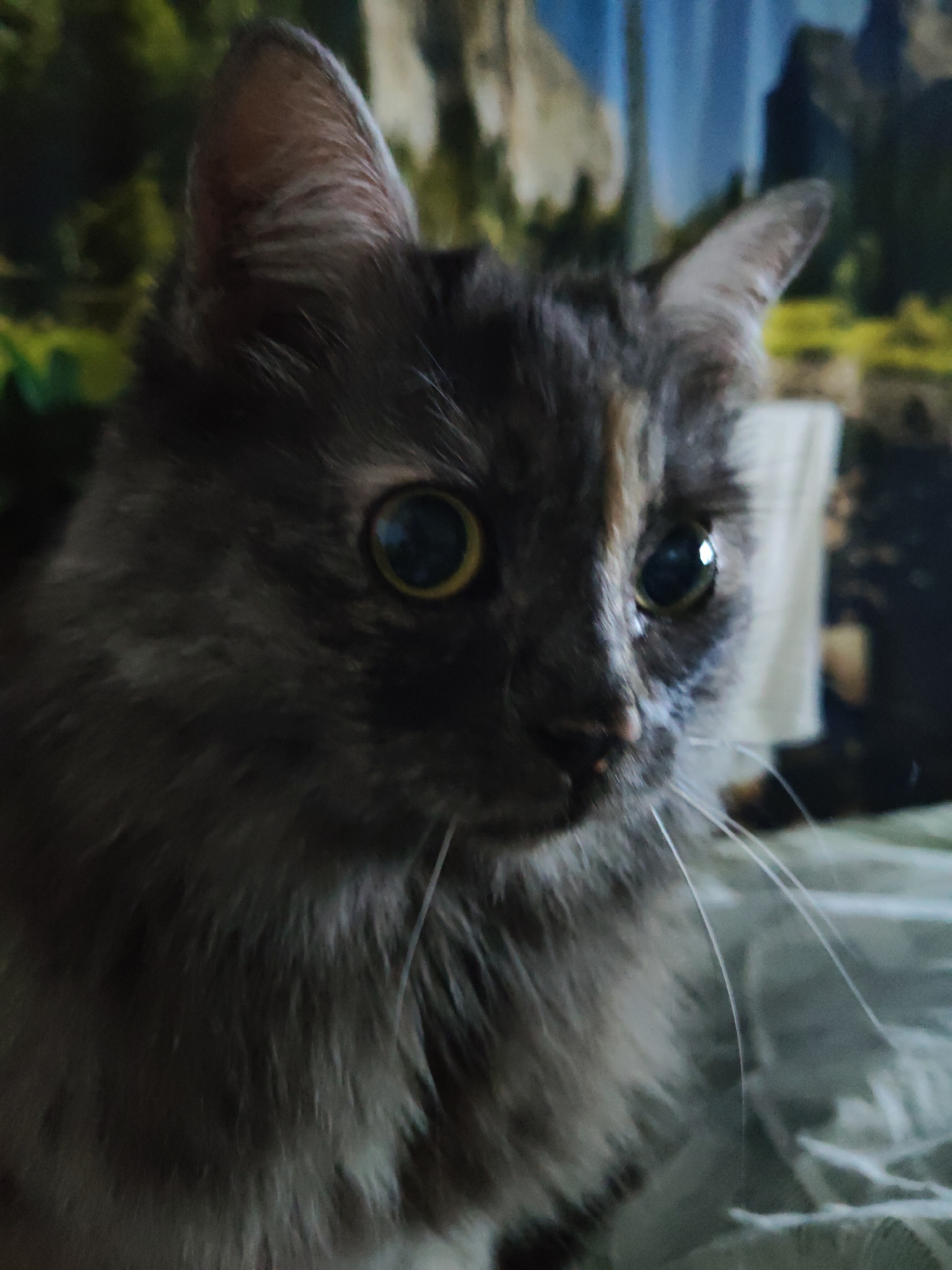 A close-up, slightly blurry photograph shows a tortoiseshell cat with large, yellow-green eyes and long white whiskers. The cat's fur is a mix of dark gray, brown, and some lighter patches. The background is out of focus, appearing to be a tapestry or curtain with muted green and blue tones, possibly depicting a natural landscape with mountains and trees. The cat is positioned slightly to the right of the frame and is looking towards the right. The image appears to have been taken indoors, with soft lighting. There is no information to determine the location in Bol'shoye Kozino, Russia.