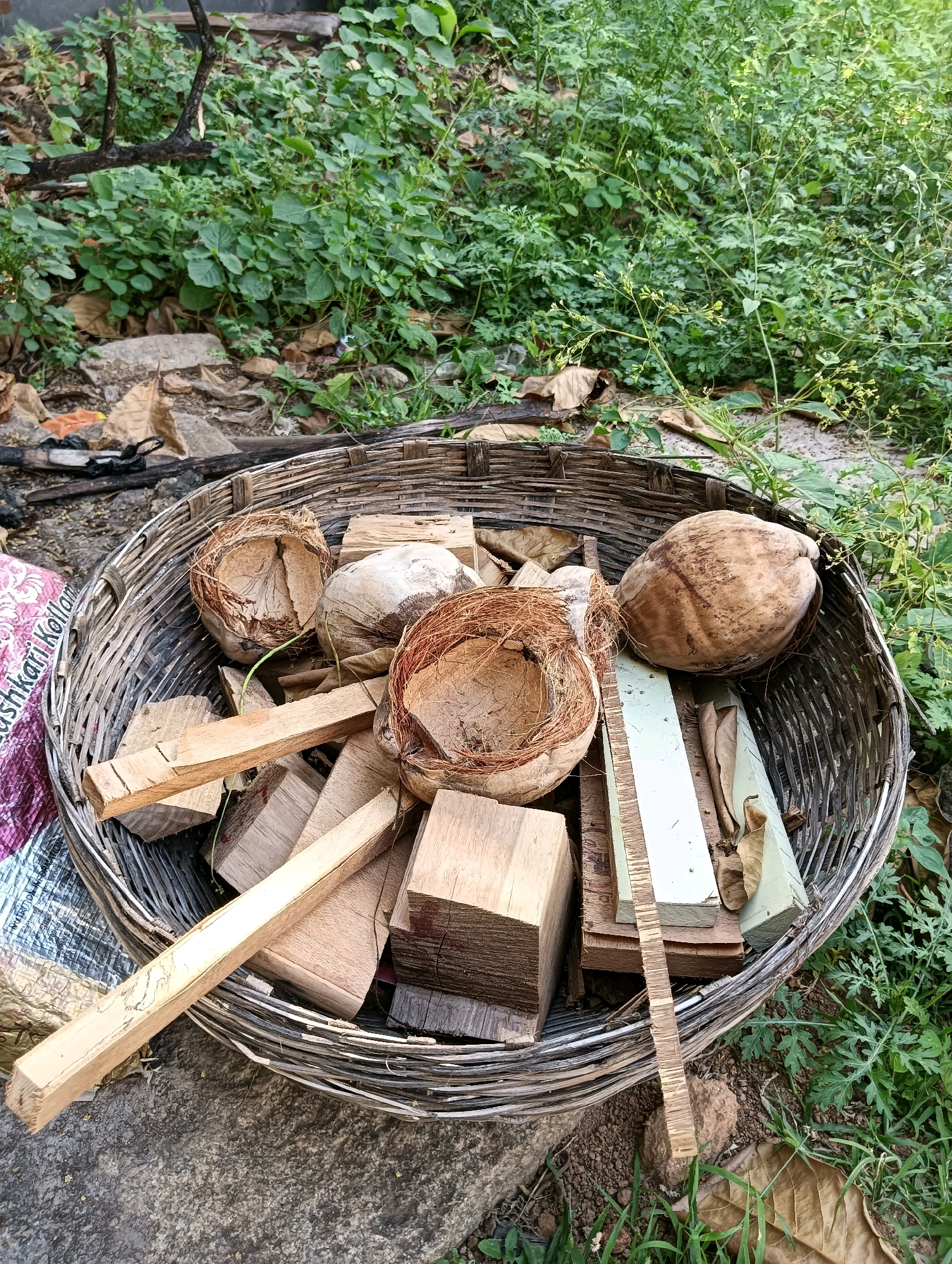 A medium shot, outdoor, eye-level, portrait-oriented photograph captures a woven basket filled with coconut husks and pieces of wood. The basket is a dark, weathered brown, constructed from thin, pliable strips of material woven in a circular pattern. It rests on a textured, greyish-brown surface, possibly concrete or stone, in the foreground. To the left of the basket, a portion of a patterned pink and silver fabric is visible.
The contents of the basket include two whole coconuts, their outer shells dry and textured, with one appearing to be a whole nut and the other cracked open. Several coconut husks, their fibrous interiors exposed, are also present. Mixed amongst the coconut debris are various pieces of light brown wood. These range from small, rectangular blocks to longer, thinner planks, some showing rough, unfinished edges. A few dry leaves are scattered among the items in the basket.
Behind the basket, a dense growth of green foliage dominates the background. The plants are lush and varied, with small, delicate leaves and some sparse, pale green flower clusters. The ground beneath the foliage is covered with dry leaves, twigs, and some scattered debris, suggesting an unkempt outdoor environment. A dark, charred branch is visible towards the upper left of the frame, partially obscured by the greenery. The lighting appears to be natural daylight, casting soft shadows and highlighting the textures of the objects. The overall scene suggests a collection of materials for a fire or craft project, situated in an outdoor area that blends natural elements with discarded items, possibly in a less manicured part of Hosapete, India.