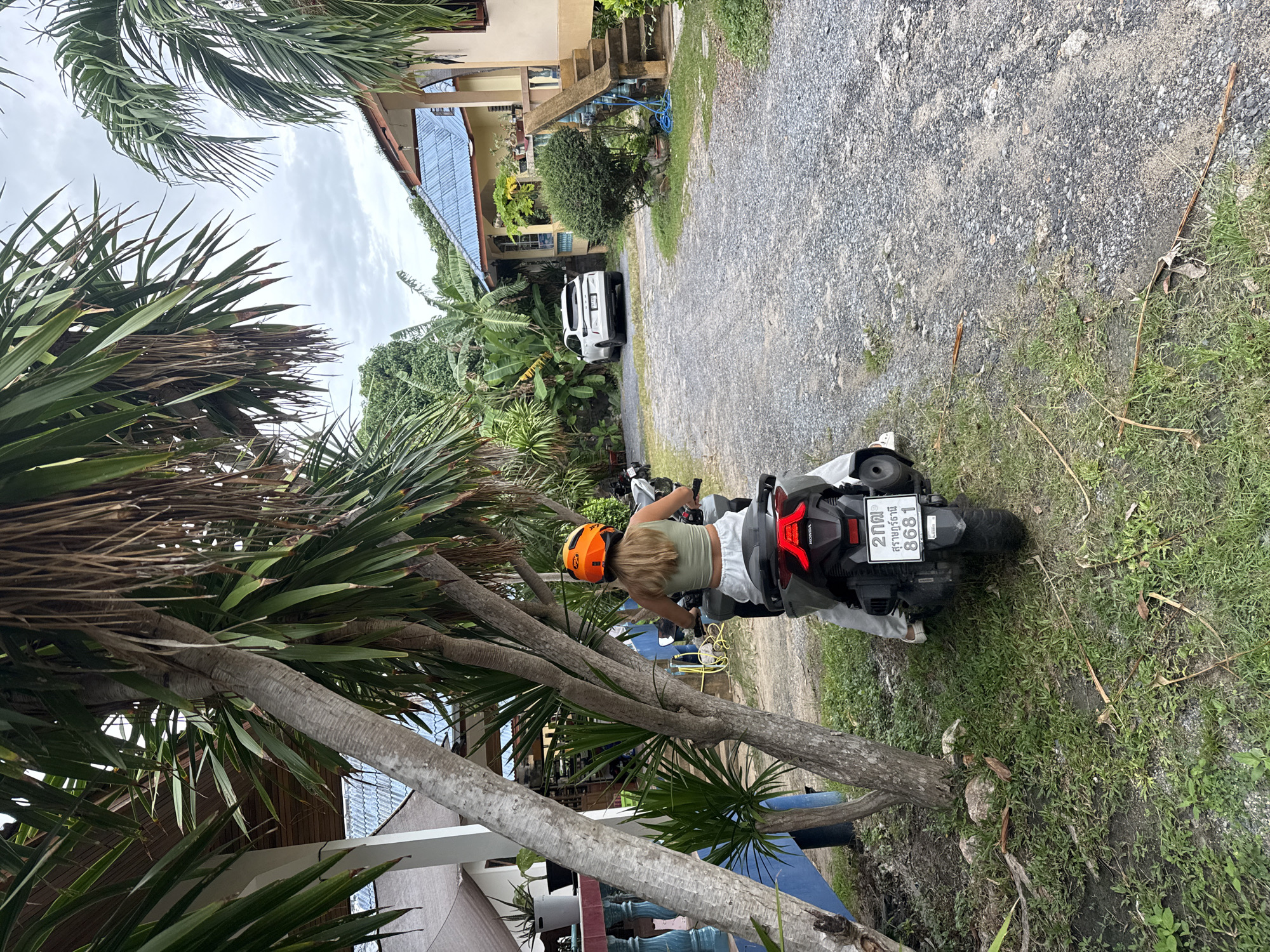 In the city of Ko Samui District, Thailand, a woman wearing an orange helmet and a green crop top is seated on a dark gray scooter. She is wearing white pants and white sneakers. The scooter has a license plate with Thai characters and the number 8681. The scooter is parked on a gravel path next to a tree with rough, gray bark and palm leaves. To the left of the scooter is a blue-painted structure with white pillars. In the background, there are two houses with blue roofs, one of which has a staircase leading up to its entrance. A white SUV is parked on the gravel driveway. Lush green vegetation, including palm trees and banana trees, surrounds the scene. The sky is overcast.