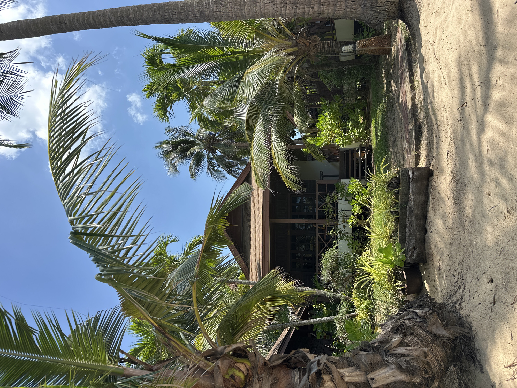 A sunlit, outdoor scene features a tropical bungalow nestled amongst lush palm trees on a sandy beach. The bungalow has a dark wood exterior with a pitched, brown roof and a covered porch with wooden railings and steps leading up to it. The porch has multiple windows and what appears to be a door. The bungalow is surrounded by dense green foliage, including various types of plants and smaller trees. In the foreground, a sandy path leads towards the bungalow, with shadows cast by the palm fronds and branches overhead. Two large palm trees frame the view of the bungalow, with their trunks and broad leaves prominent. The sky above is a clear, bright blue with a few scattered white clouds. The overall impression is one of a serene tropical resort setting.