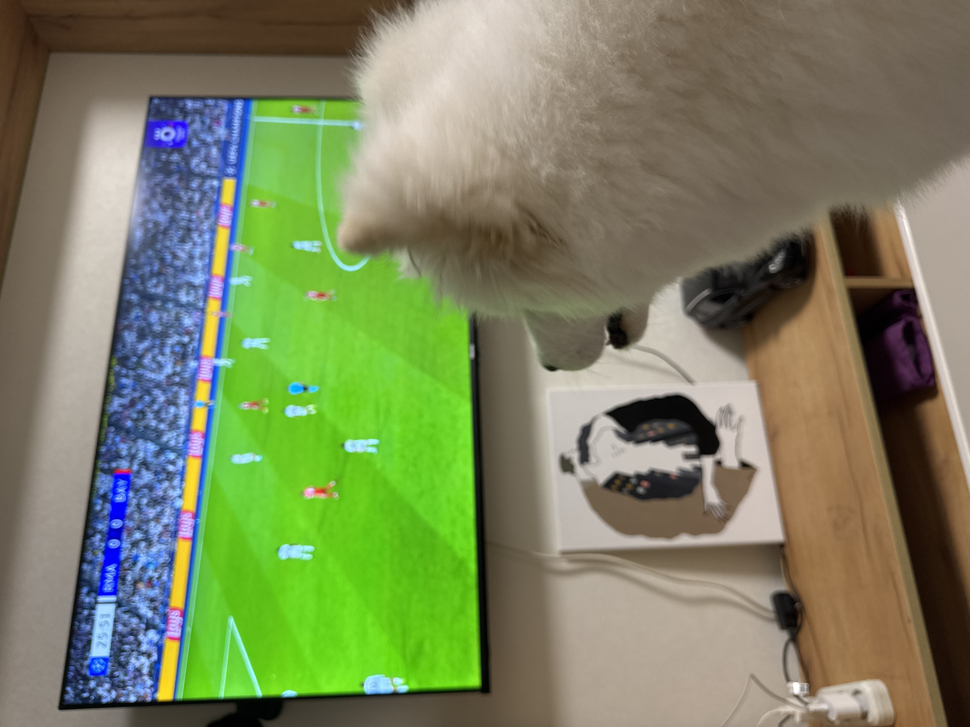 The image shows a television displaying a soccer game. The TV is mounted on a wall above a painting of a person lying down. A white dog is in the foreground, partially obscuring the view. The location is indoors, likely a home. The city and country is unknown, but included as requested.