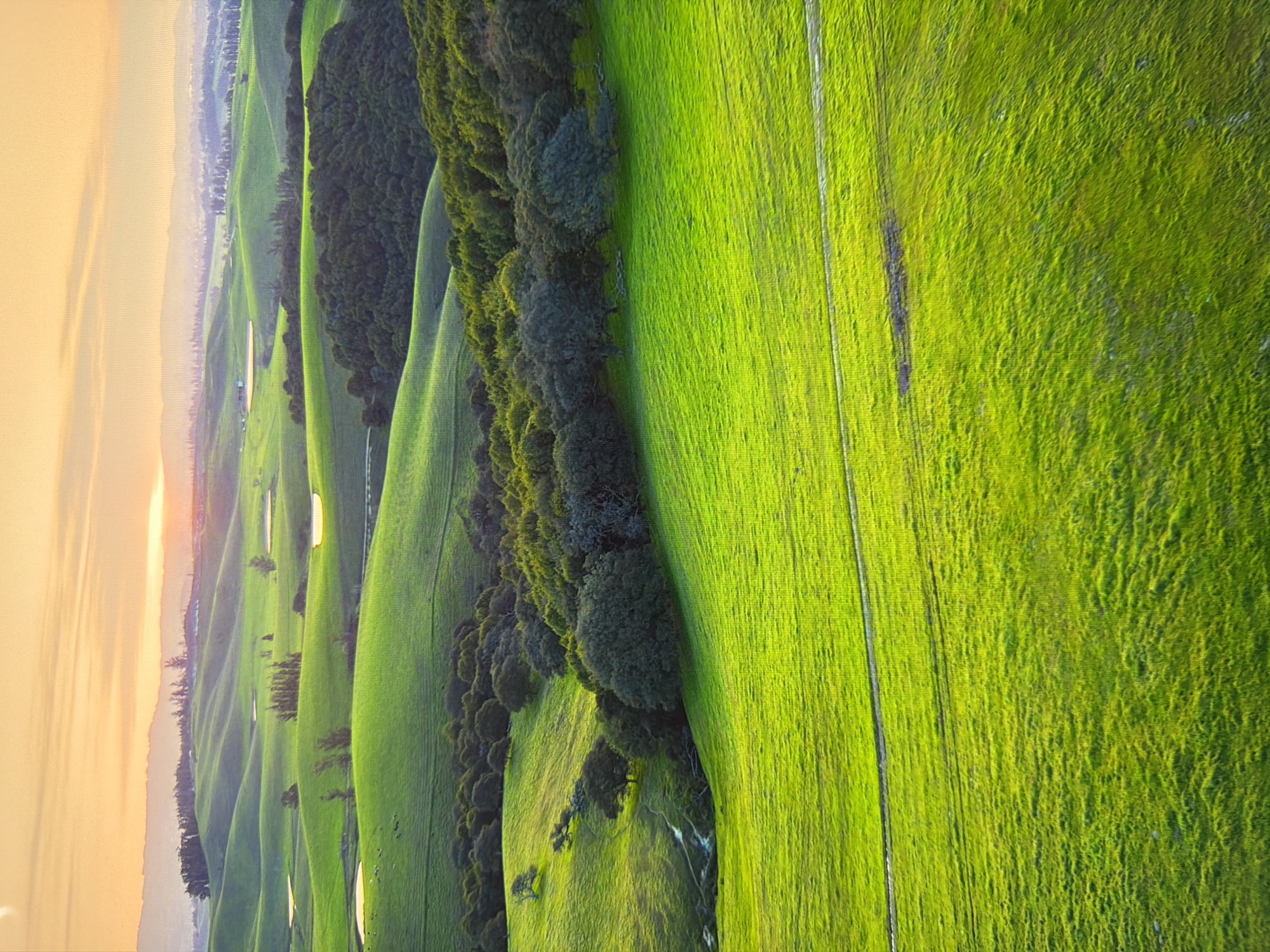 The image depicts a panoramic landscape of rolling green hills under a soft, orange-hued sky, suggestive of sunrise or sunset. The terrain is covered in vibrant green grass, with some areas appearing as fields and others with clusters of trees. Several small bodies of water, reflecting the sky, are visible scattered across the hills in the mid-ground. In the distance, a hazy mountain range can be observed. There are no people or visible structures that would indicate the specific location in Kyiv, Ukraine. The scene is characterized by its natural beauty and the tranquil atmosphere created by the soft lighting and undulating landscape.