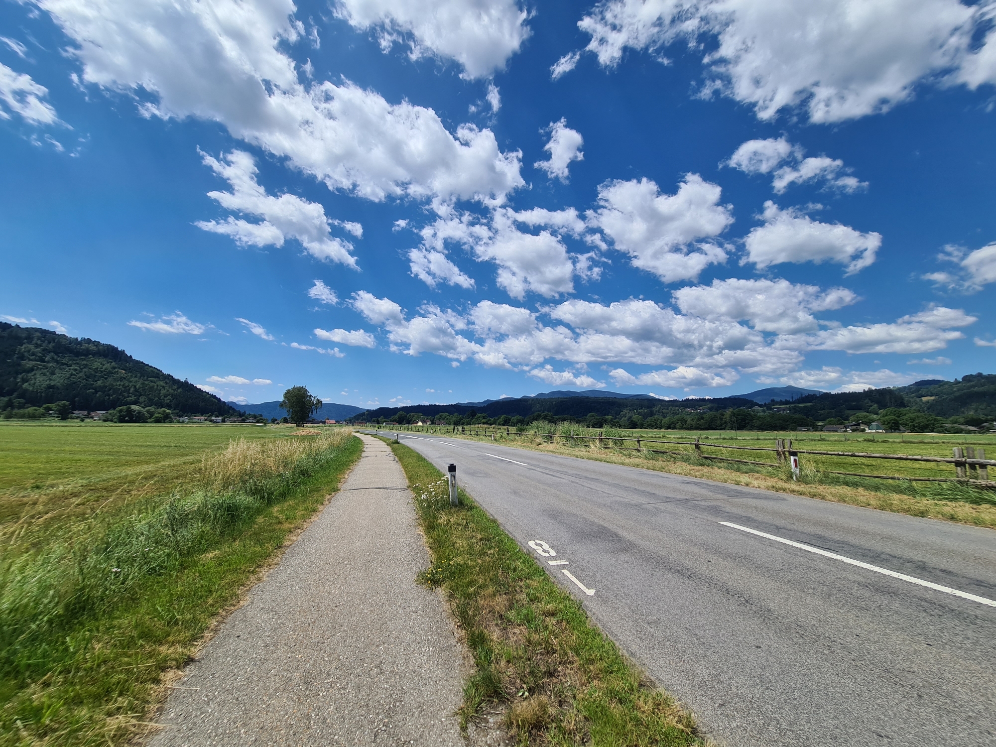 The image depicts a scenic view of a paved road and an adjacent bicycle path in Feldkirchen in Kärnten, Austria. The road, marked with a white line down the center and a white arrow with the number "81" painted on its surface, curves gently to the right and recedes into the distance. The bicycle path, made of grey asphalt, runs parallel to the road on the left. Beyond the bicycle path, a vast green field stretches out, bordered by a wooden fence and further by a tree-lined hill on the left. In the background, rolling hills covered in trees dominate the landscape, with a few scattered buildings visible among them. The sky above is a vibrant blue, dotted with fluffy white clouds, suggesting a clear and sunny day. There are no people or animals visible in the scene. The overall impression is one of a peaceful rural setting.