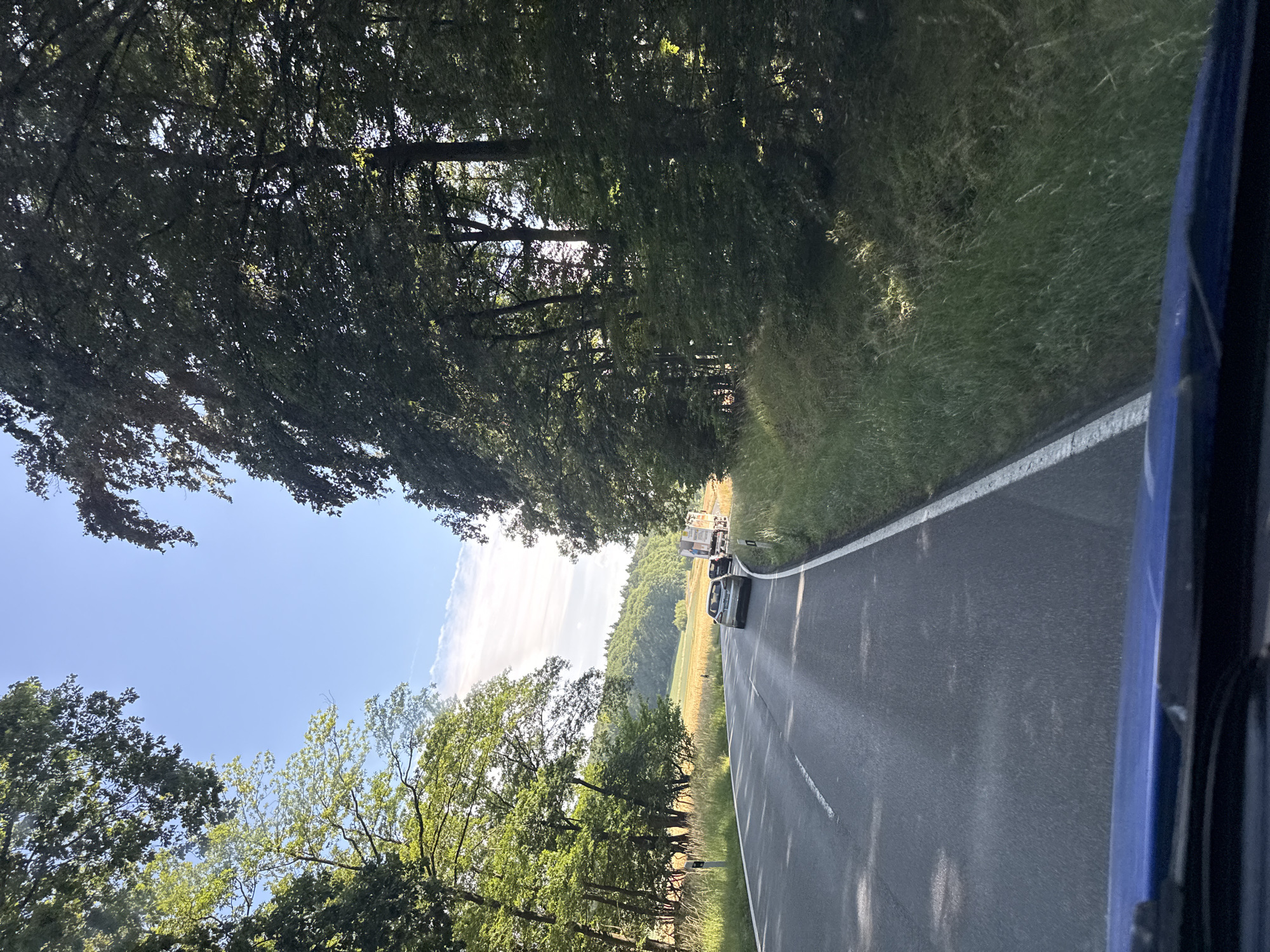 The image depicts a scene from inside a vehicle looking out onto a paved road winding through a rural landscape. The road is bordered by dense trees on the left and grassy verges on the right. In the distance, several cars are visible on the road, and beyond that, a field of crops, likely grain, stretches towards rolling, tree-covered hills. The sky is a clear blue with a few wispy clouds. The sun appears to be high in the sky, suggesting it is daytime. The overall impression is one of a scenic drive through the countryside in Germany, possibly near Niederwetz. The image is oriented vertically, giving the impression of looking up or down the road. The time of day is likely midday or early afternoon, given the bright sunlight and clear sky. The weather appears to be fair and warm. There are no people clearly visible, and the main objects are the cars and the natural elements of trees, grass, fields, and sky.