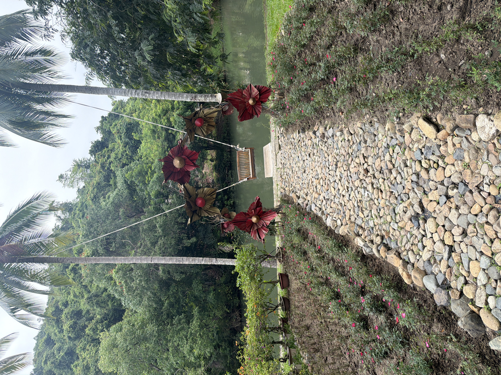 This image captures a scenic view of a tranquil garden setting in Ninh Hoa, Vietnam. A winding stone pathway leads the eye towards a wooden swing suspended between two tall palm trees. The swing is decorated with large, stylized red and gold flowers, adding a touch of artistic flair to the natural landscape.
To the left of the pathway, rows of young rose bushes are planted, their vibrant pink blooms offering a delicate contrast to the rugged stones and lush greenery. Further back, a line of potted trees with orange flowers adds another layer of color and texture. The pathway itself is bordered by these flowerbeds on one side and the gentle slope of the riverbank on the other.
The river, a calm expanse of green water, flows peacefully beside the garden. Beyond the river, a dense, verdant hillside rises, covered in a thick canopy of trees that create a backdrop of rich, natural beauty. The overall atmosphere is one of serene, natural beauty, likely a popular spot for relaxation and enjoying the outdoors.